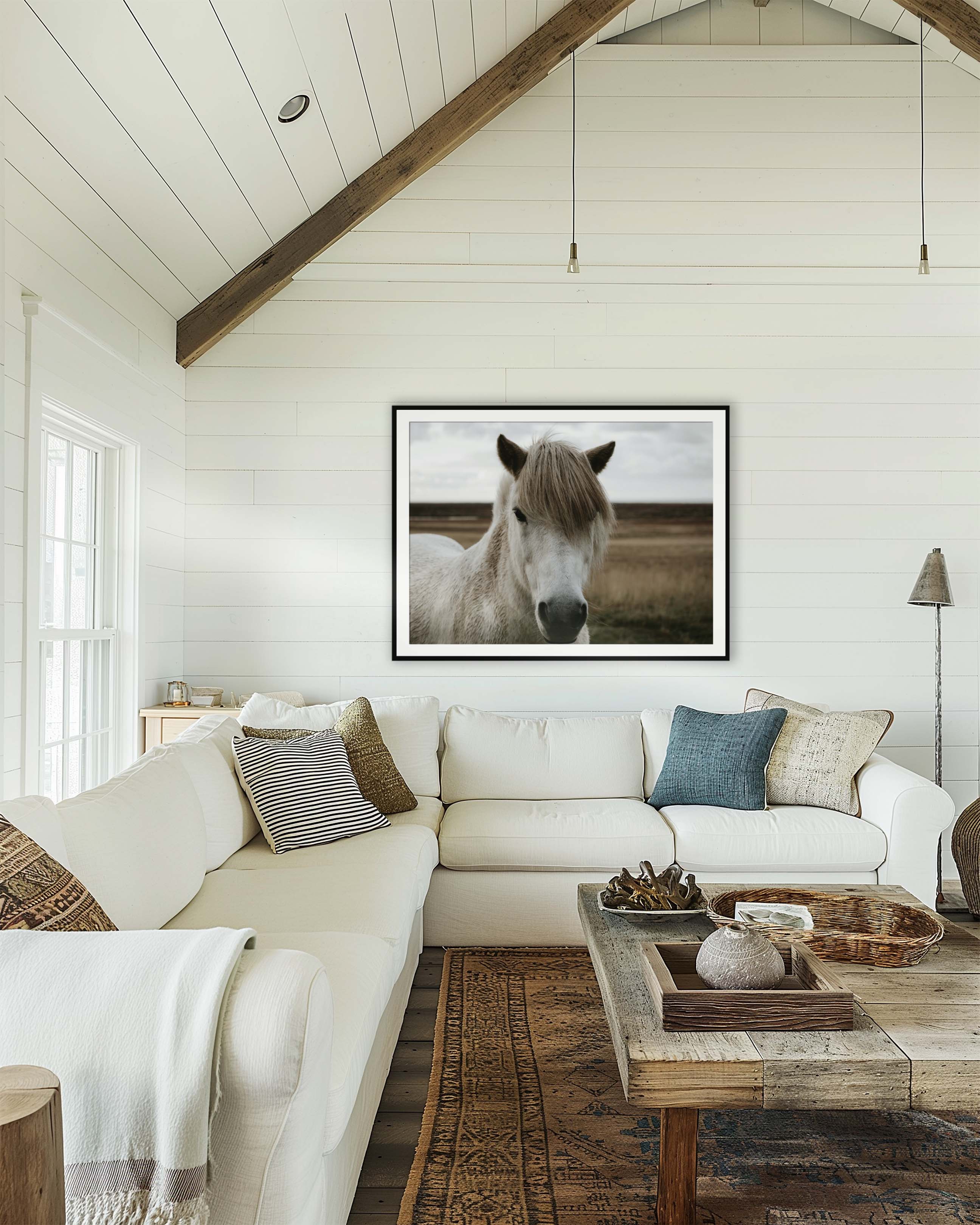 Horse Field