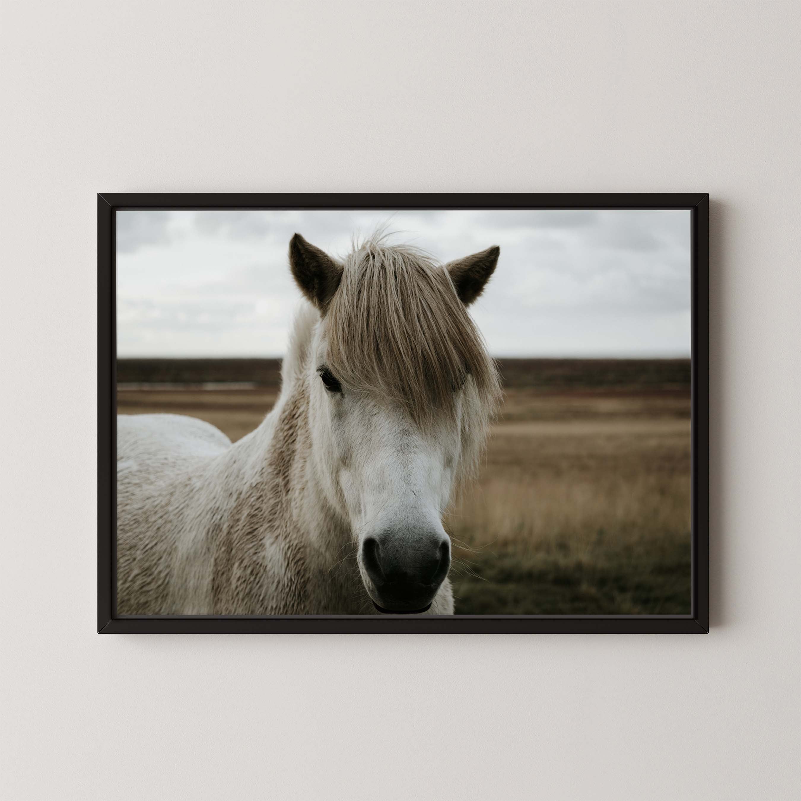 Horse Field