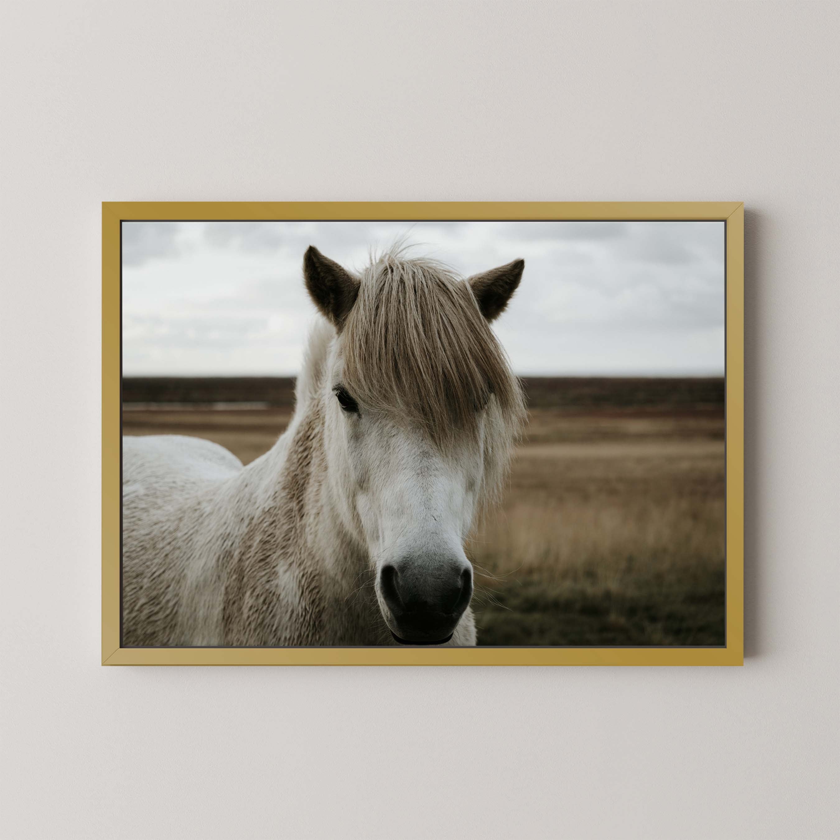 Horse Field