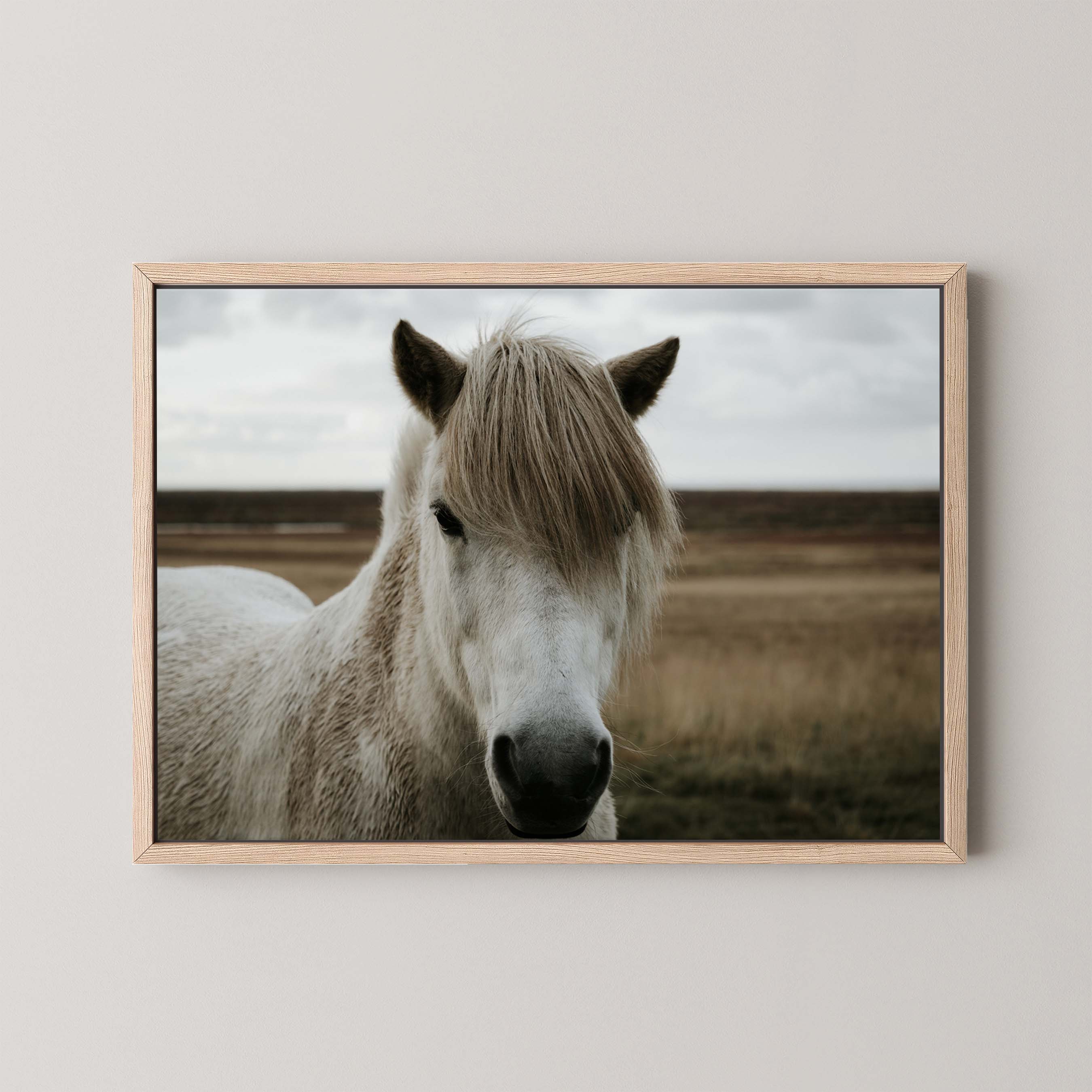 Horse Field