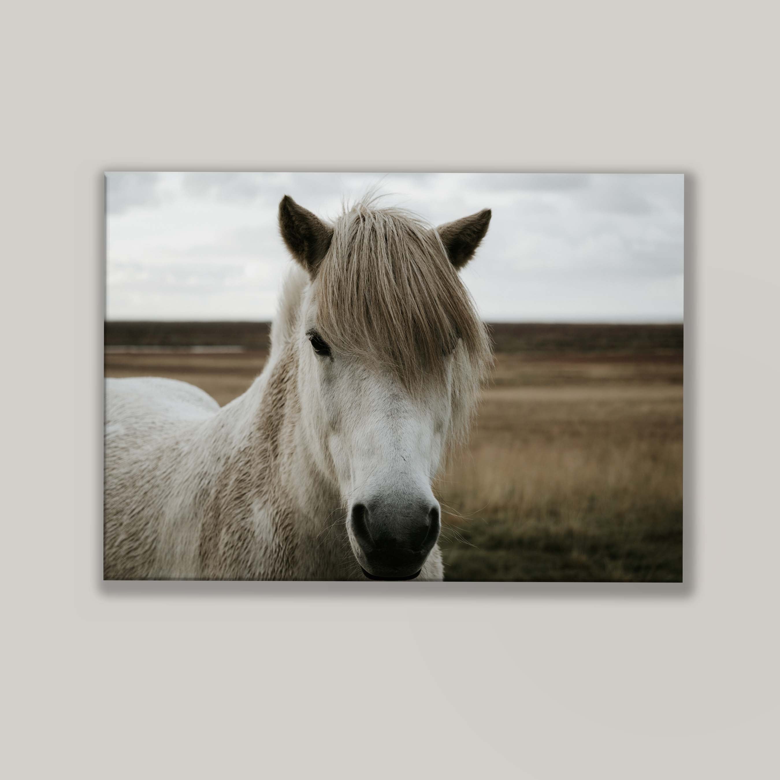 Horse Field