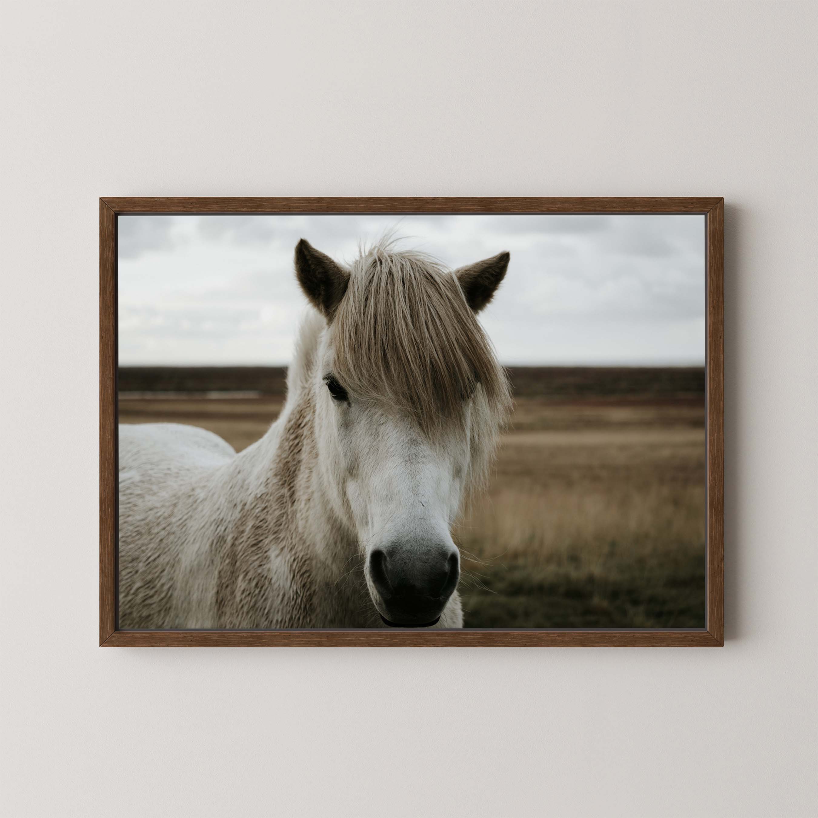 Horse Field