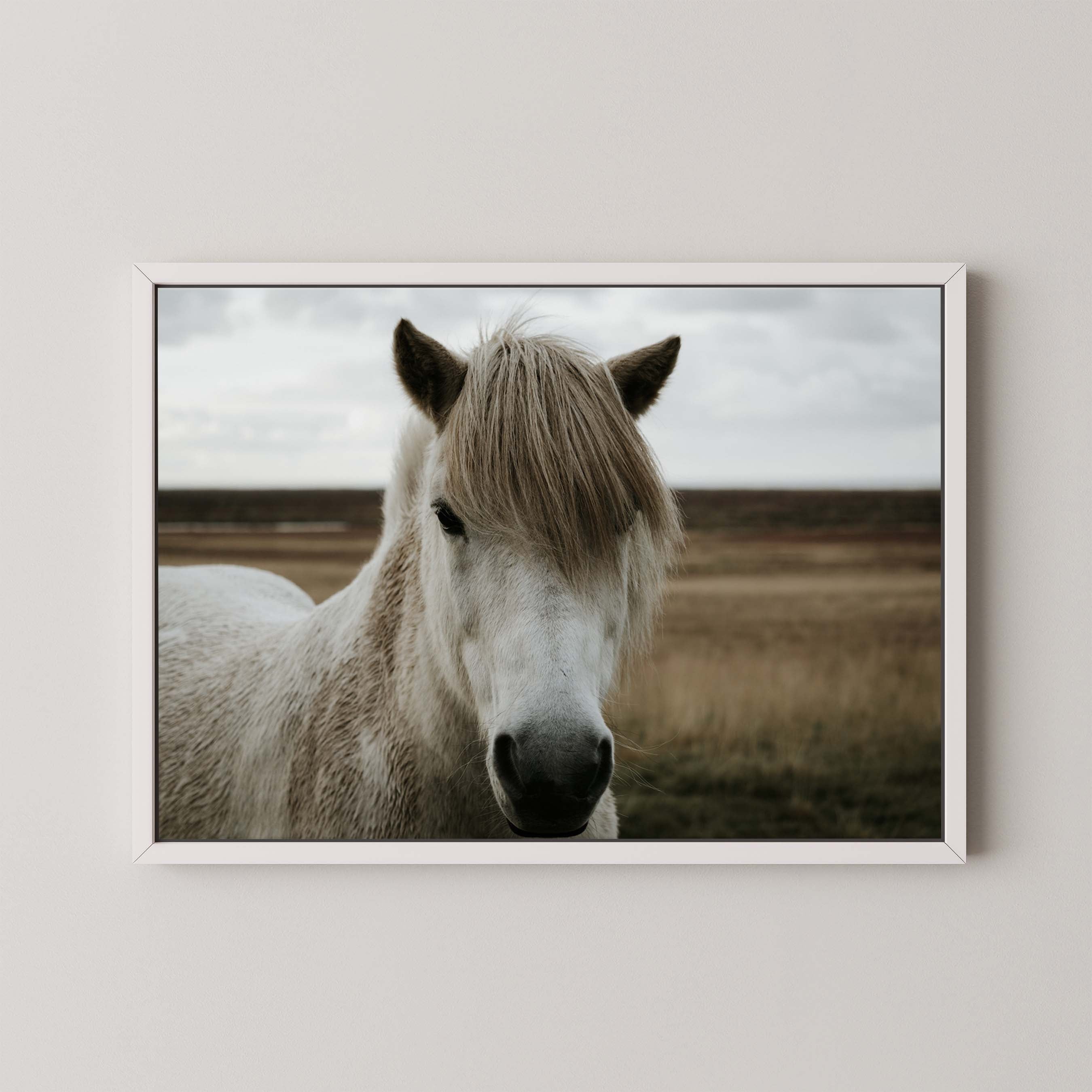 Horse Field