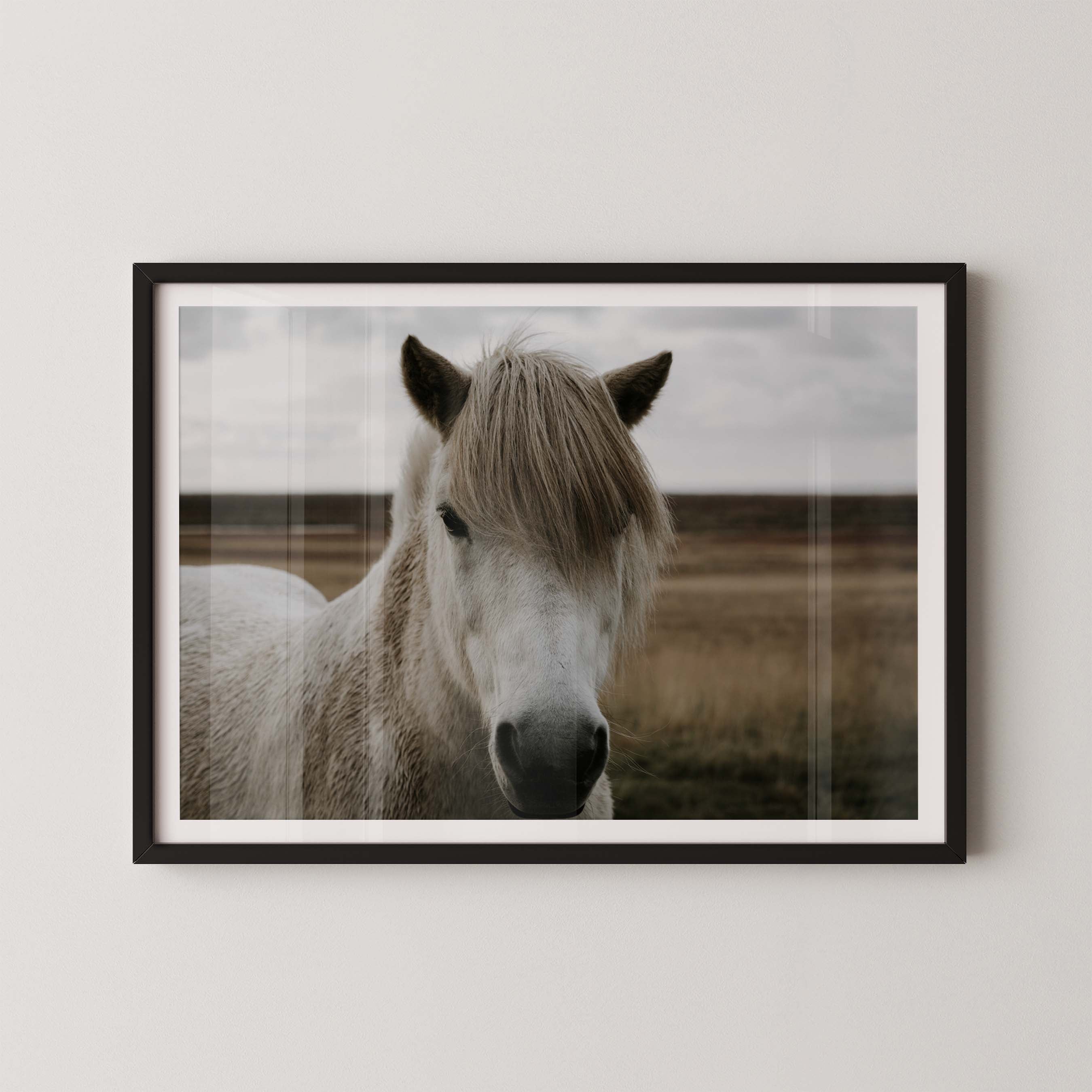 Horse Field