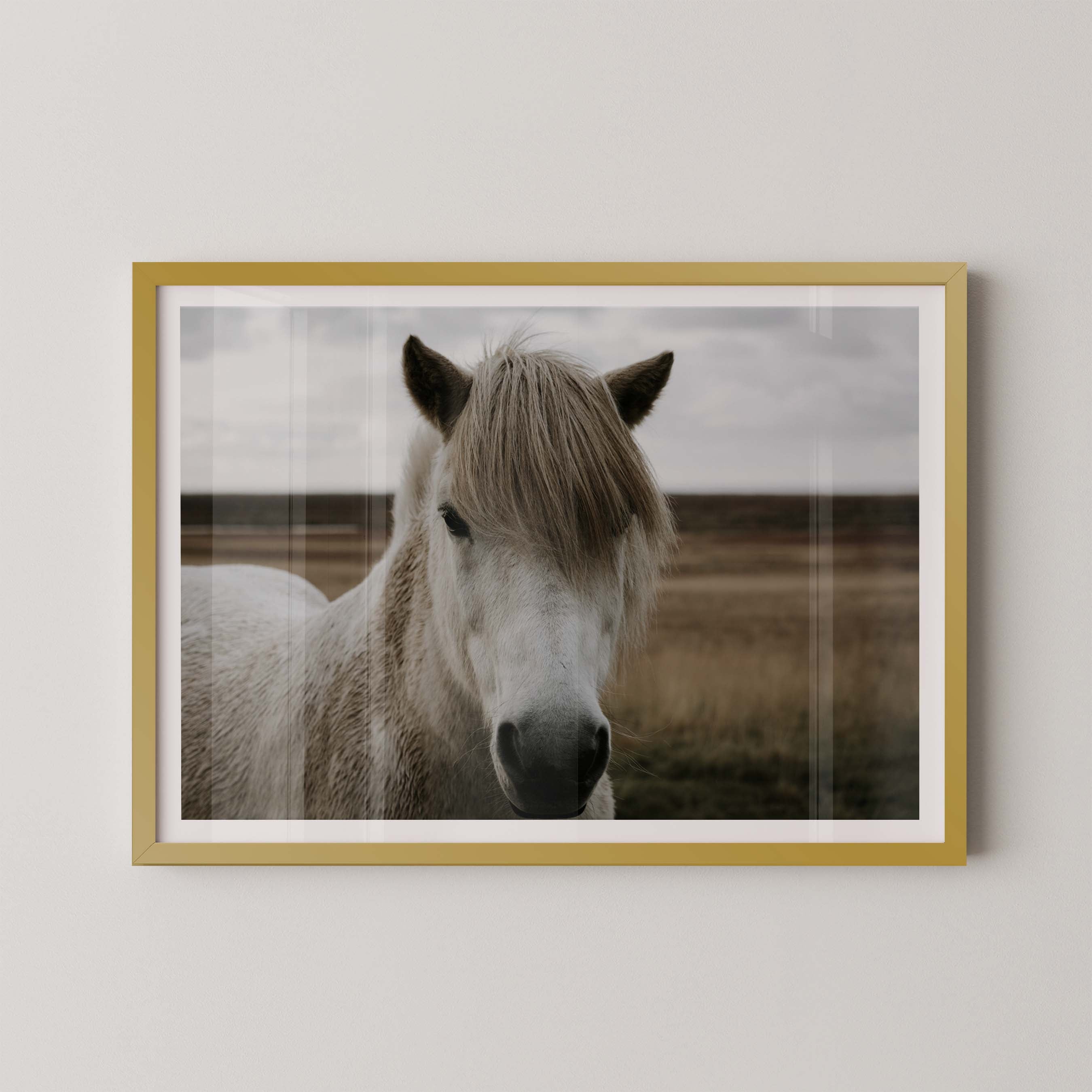 Horse Field