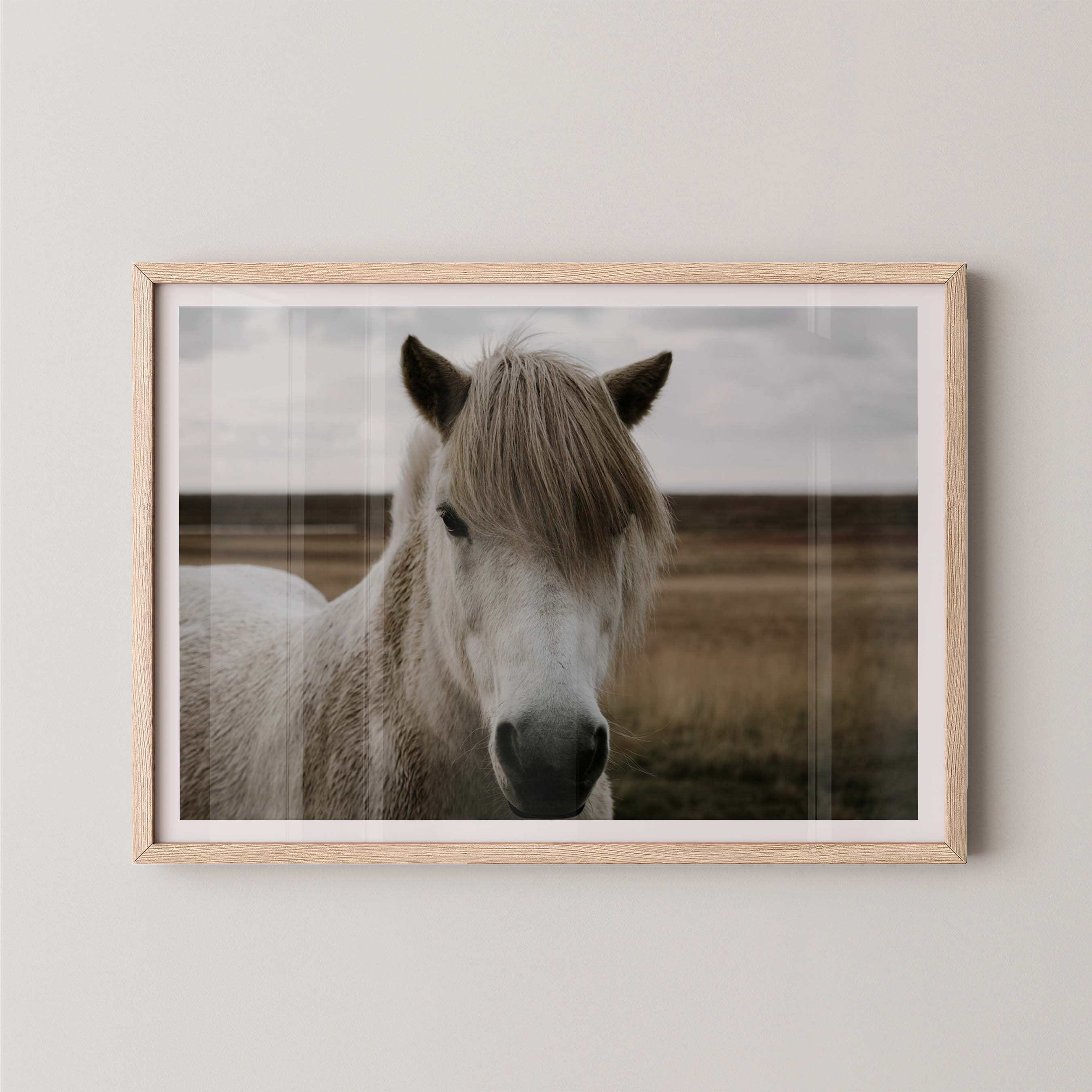 Horse Field
