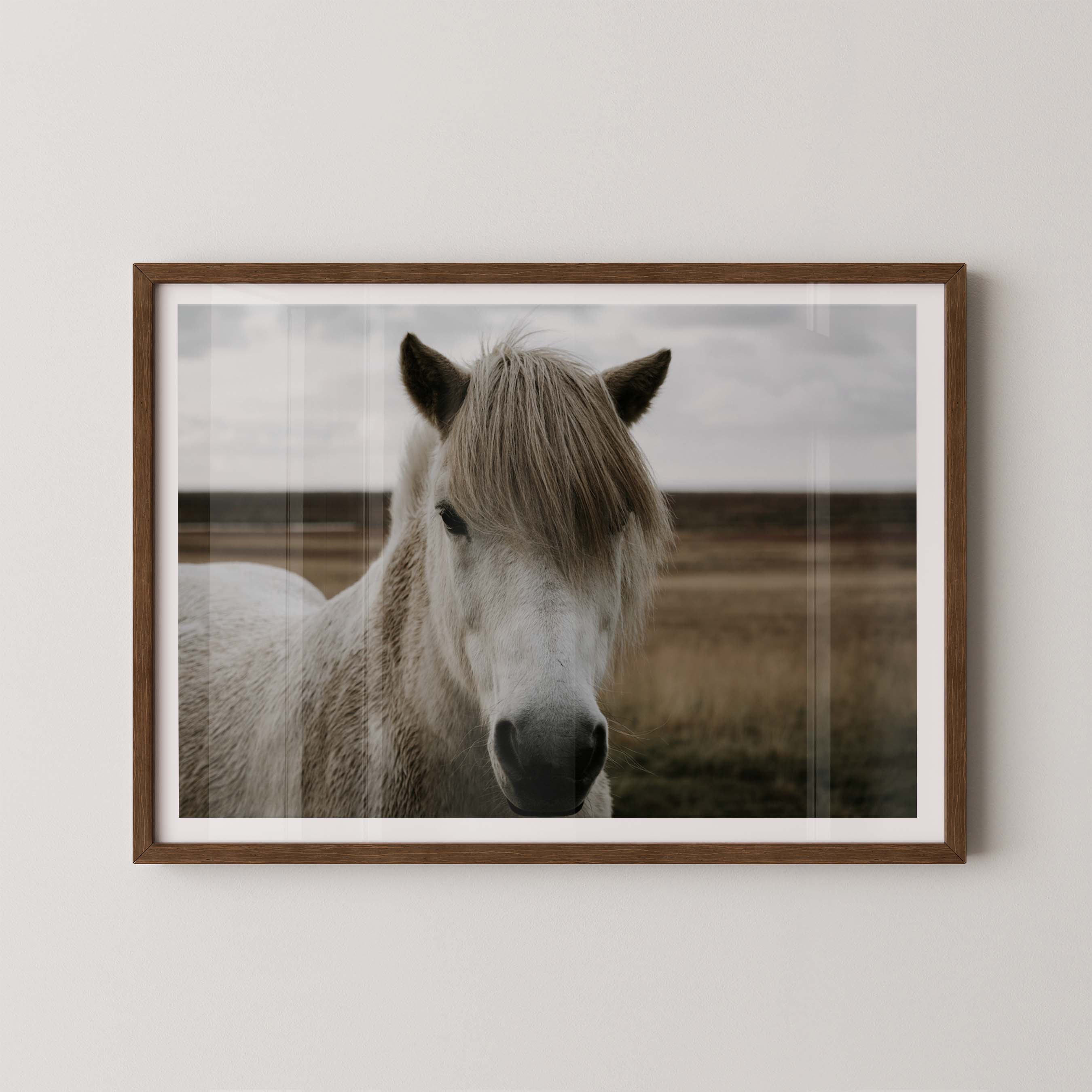 Horse Field