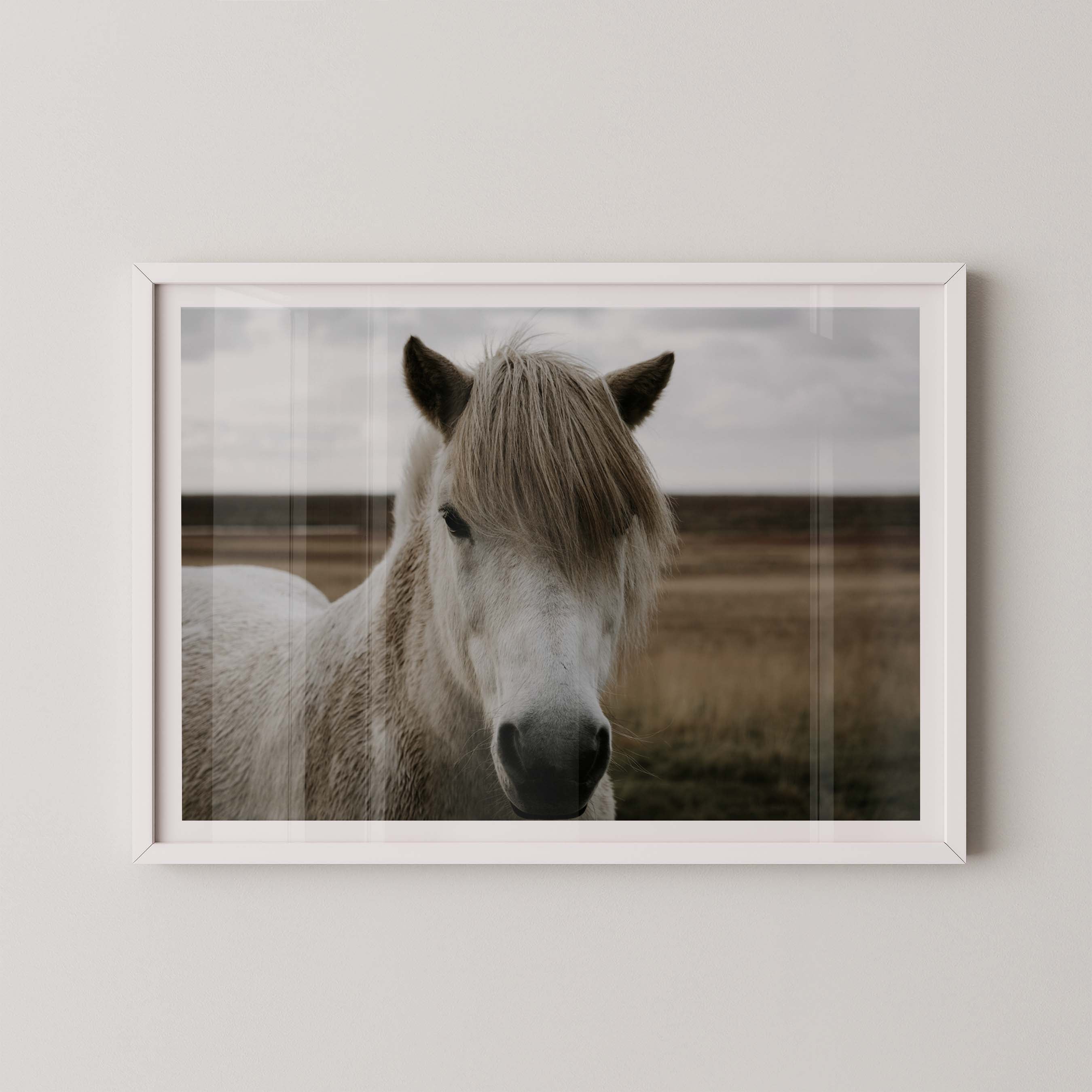 Horse Field