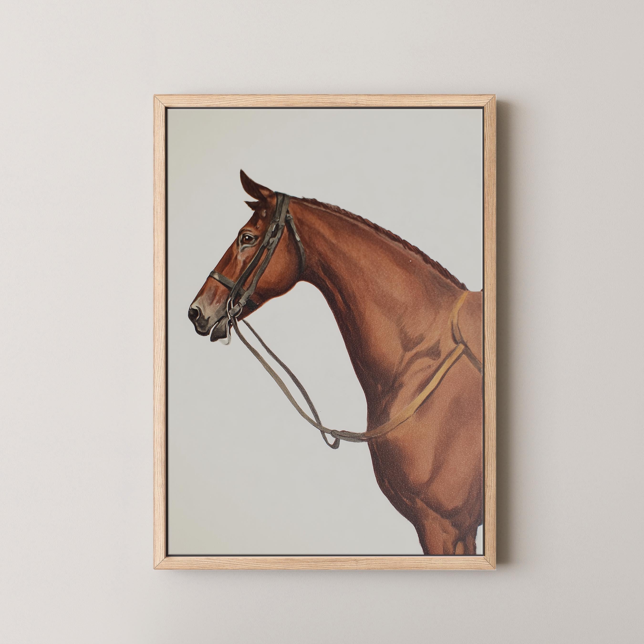 Horse Portrait I