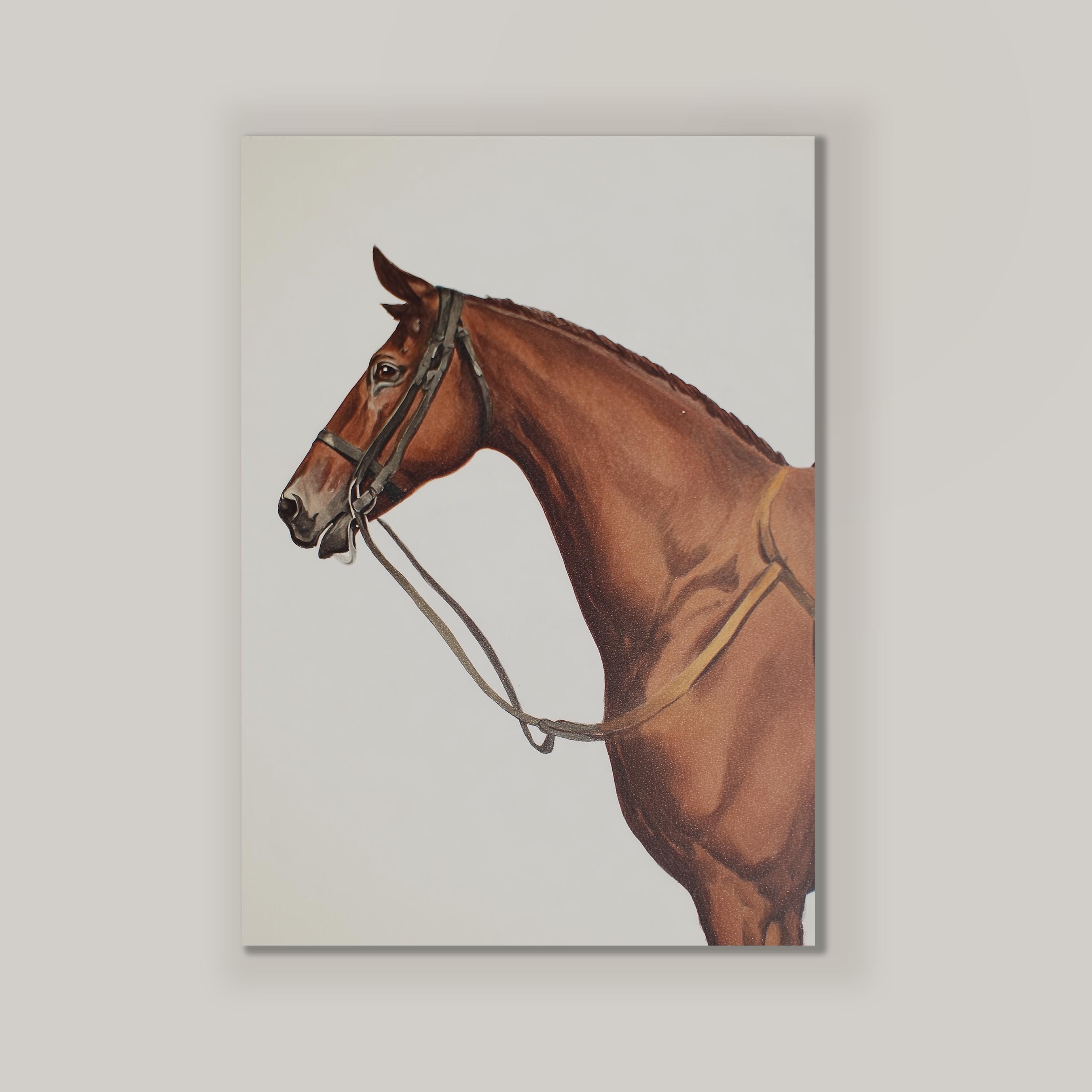 Horse Portrait I