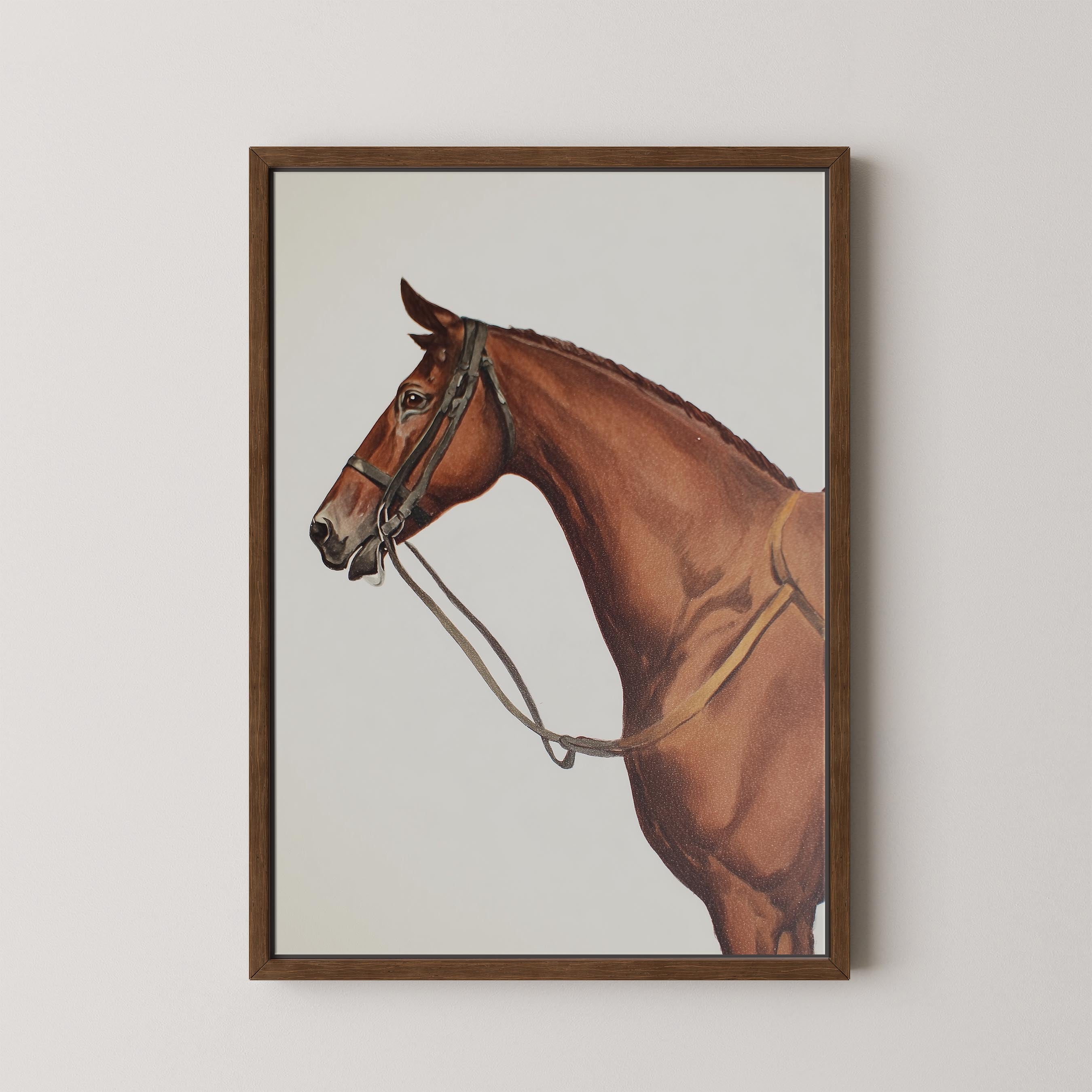 Horse Portrait I