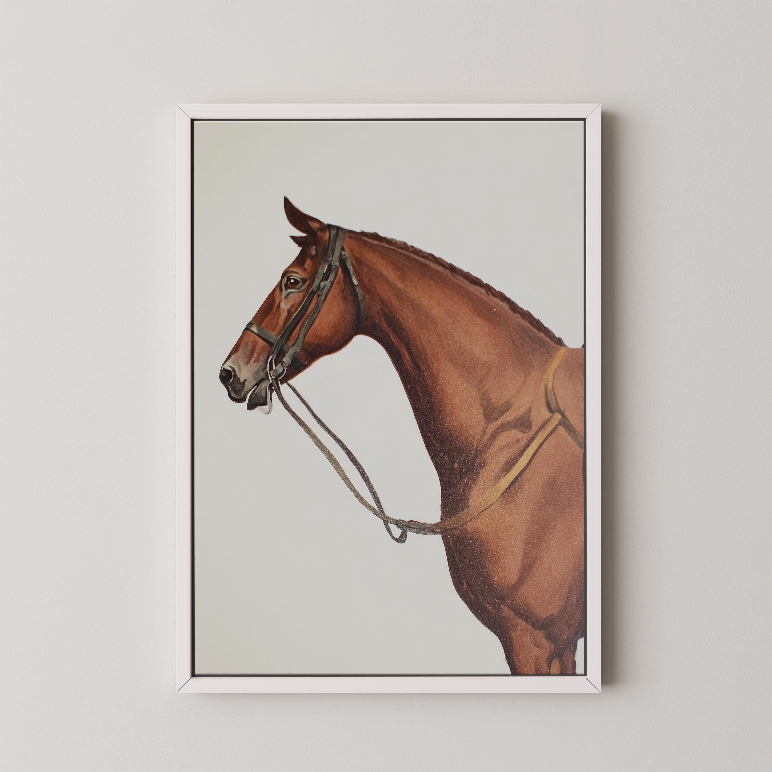 Horse Portrait I
