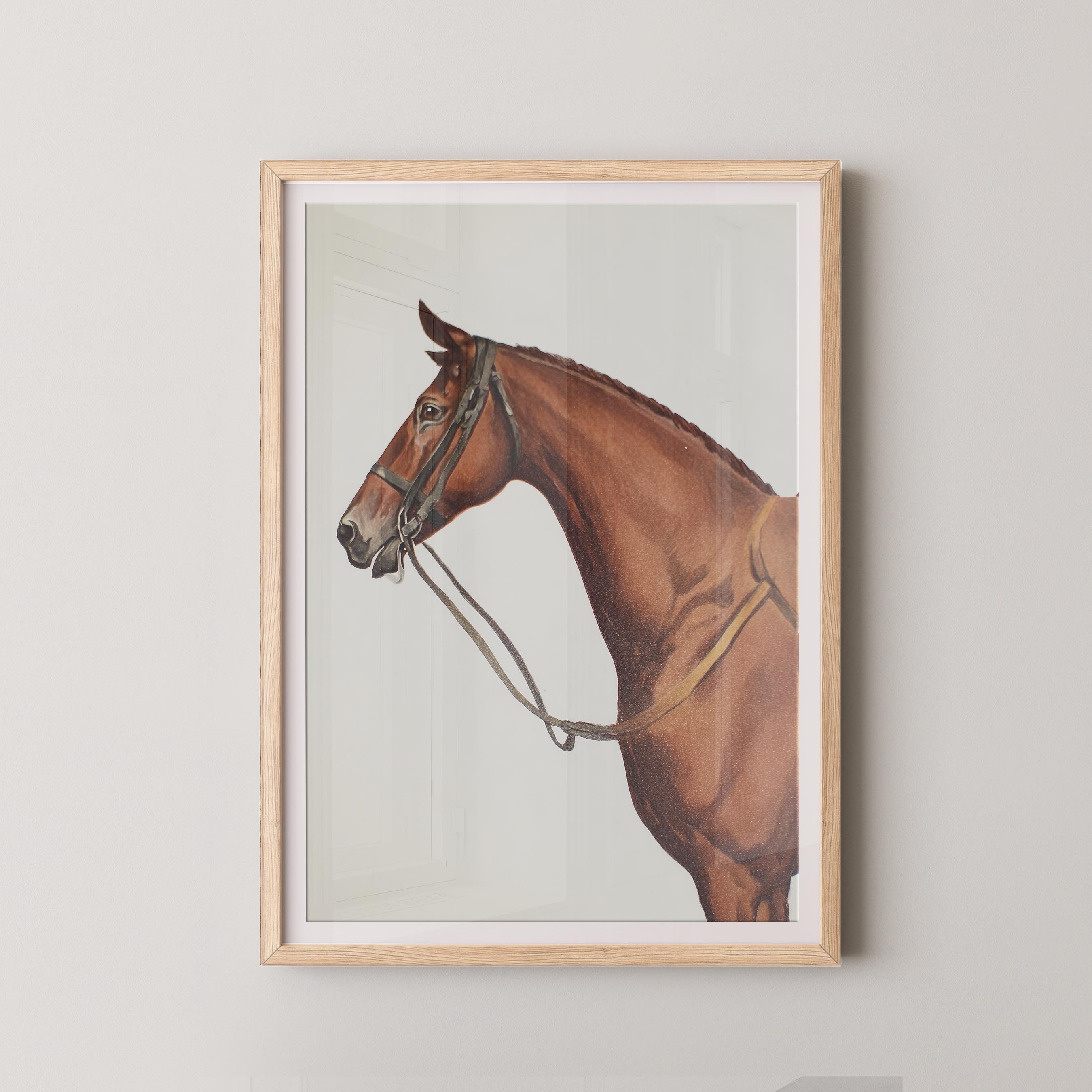 Horse Portrait I