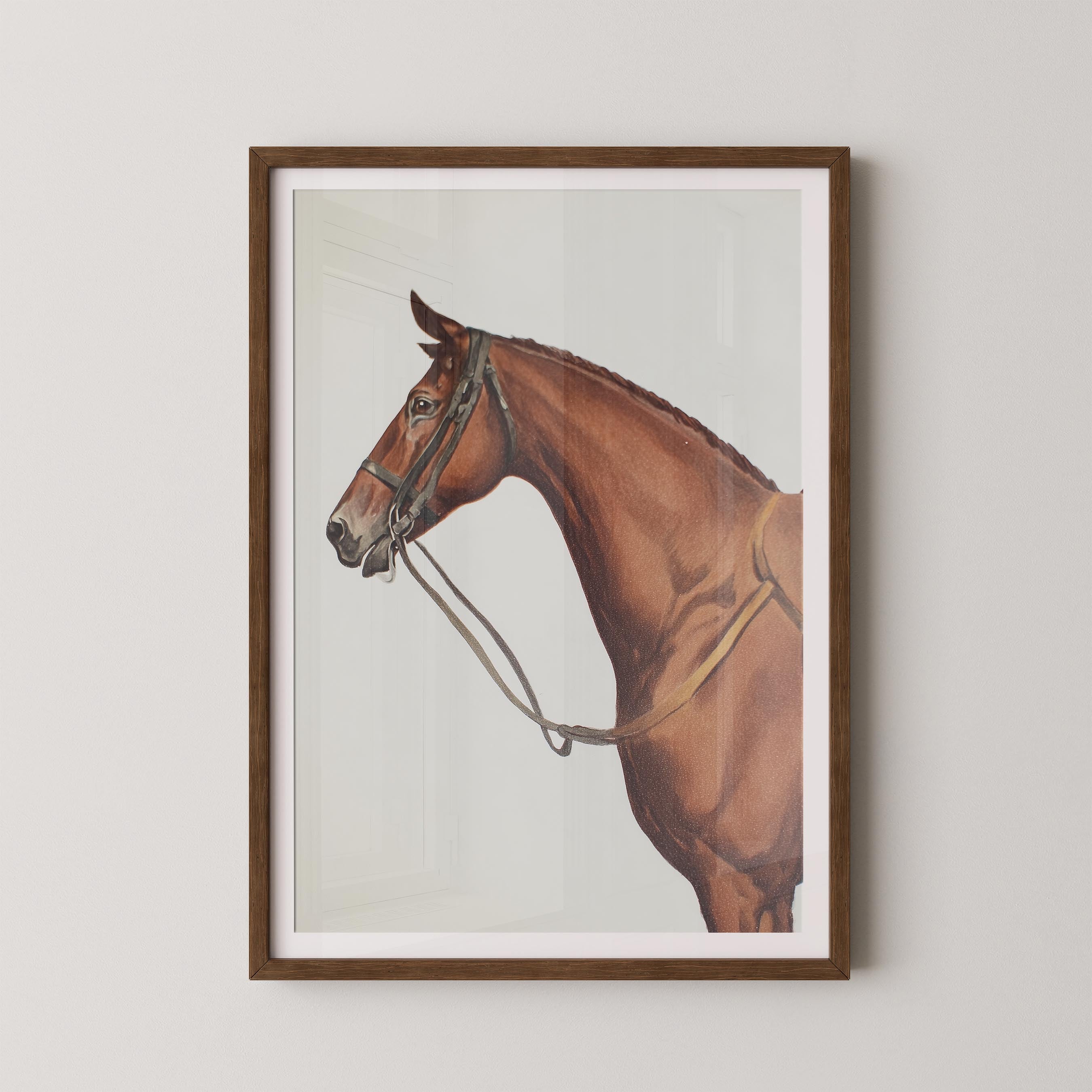 Horse Portrait I