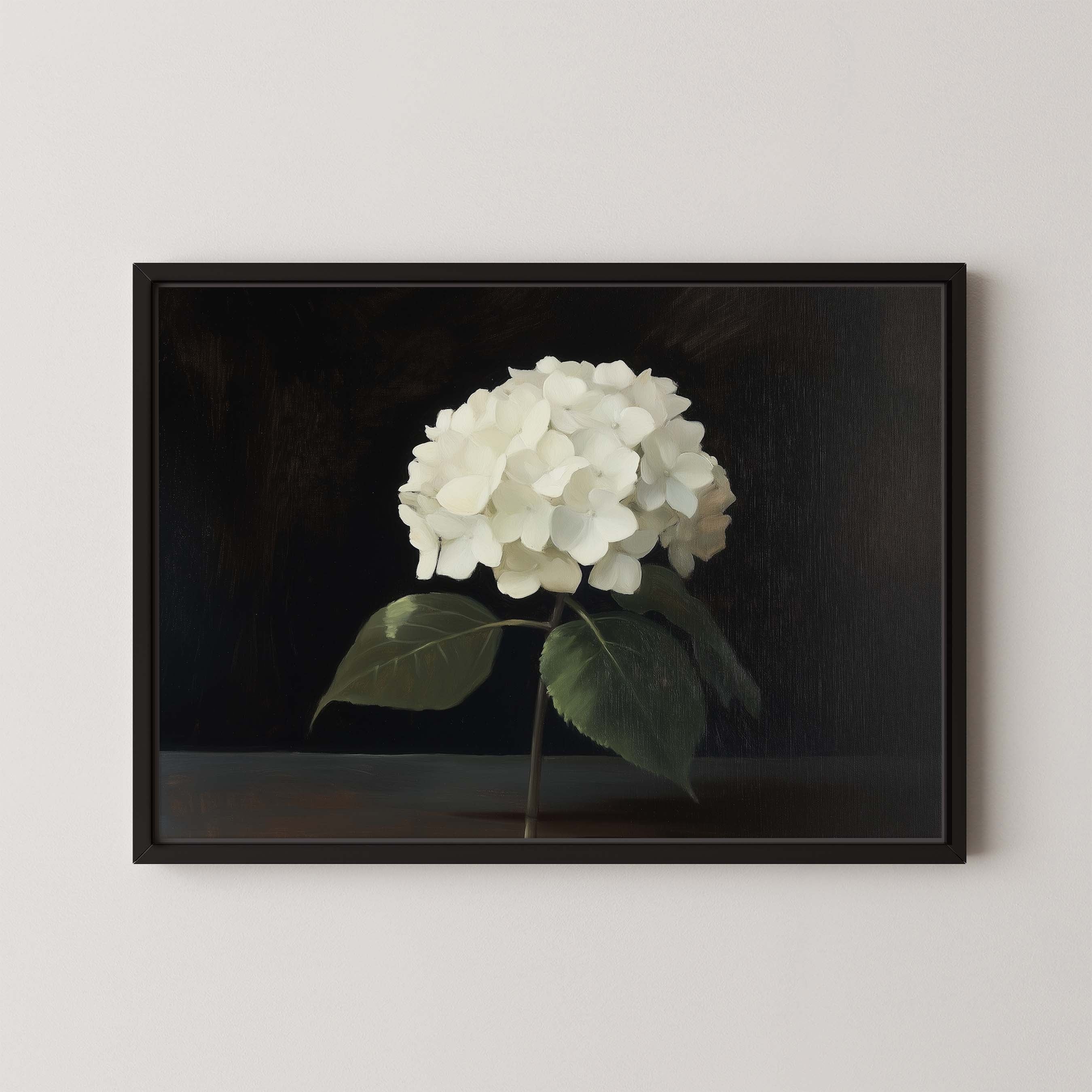 Hydrangea