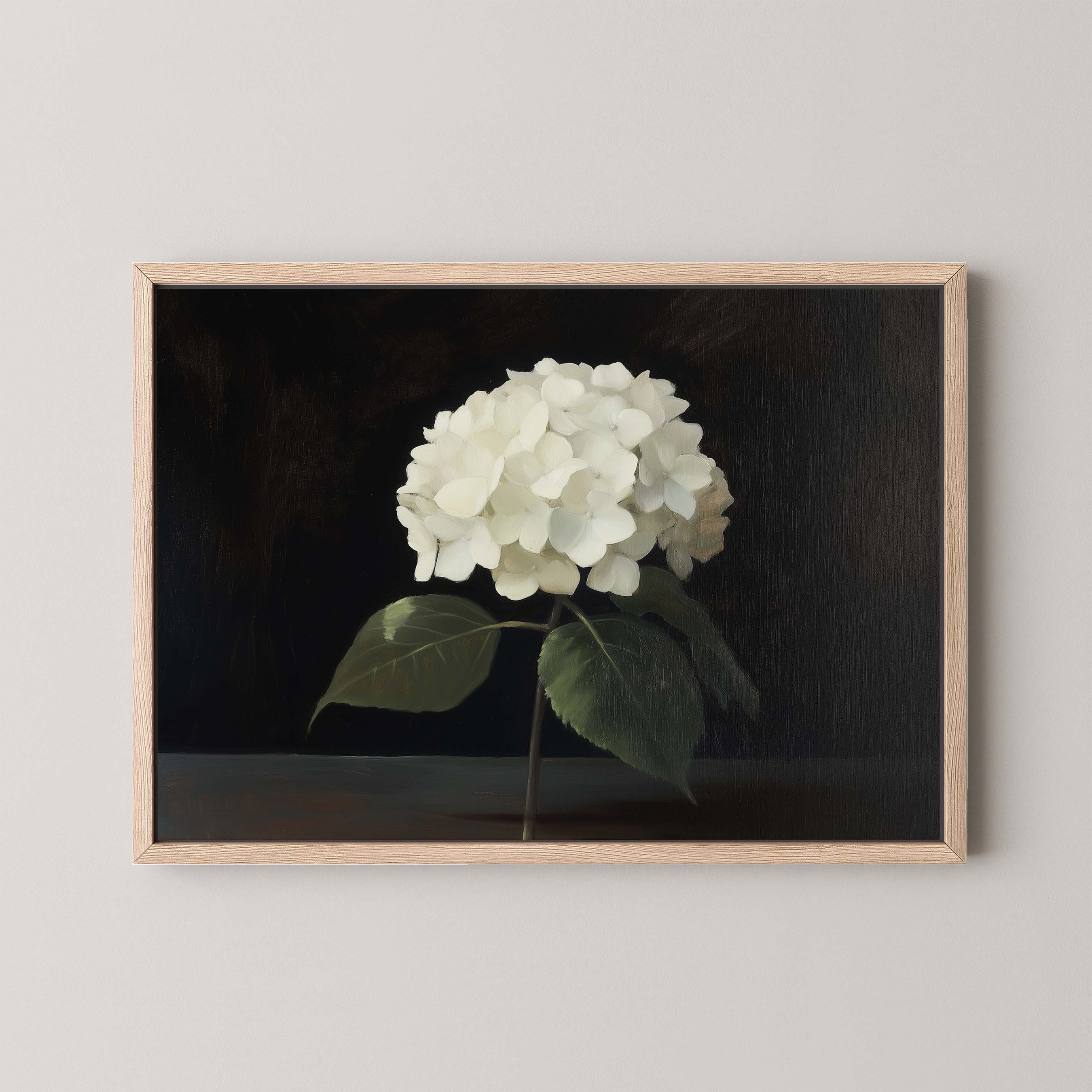 Hydrangea