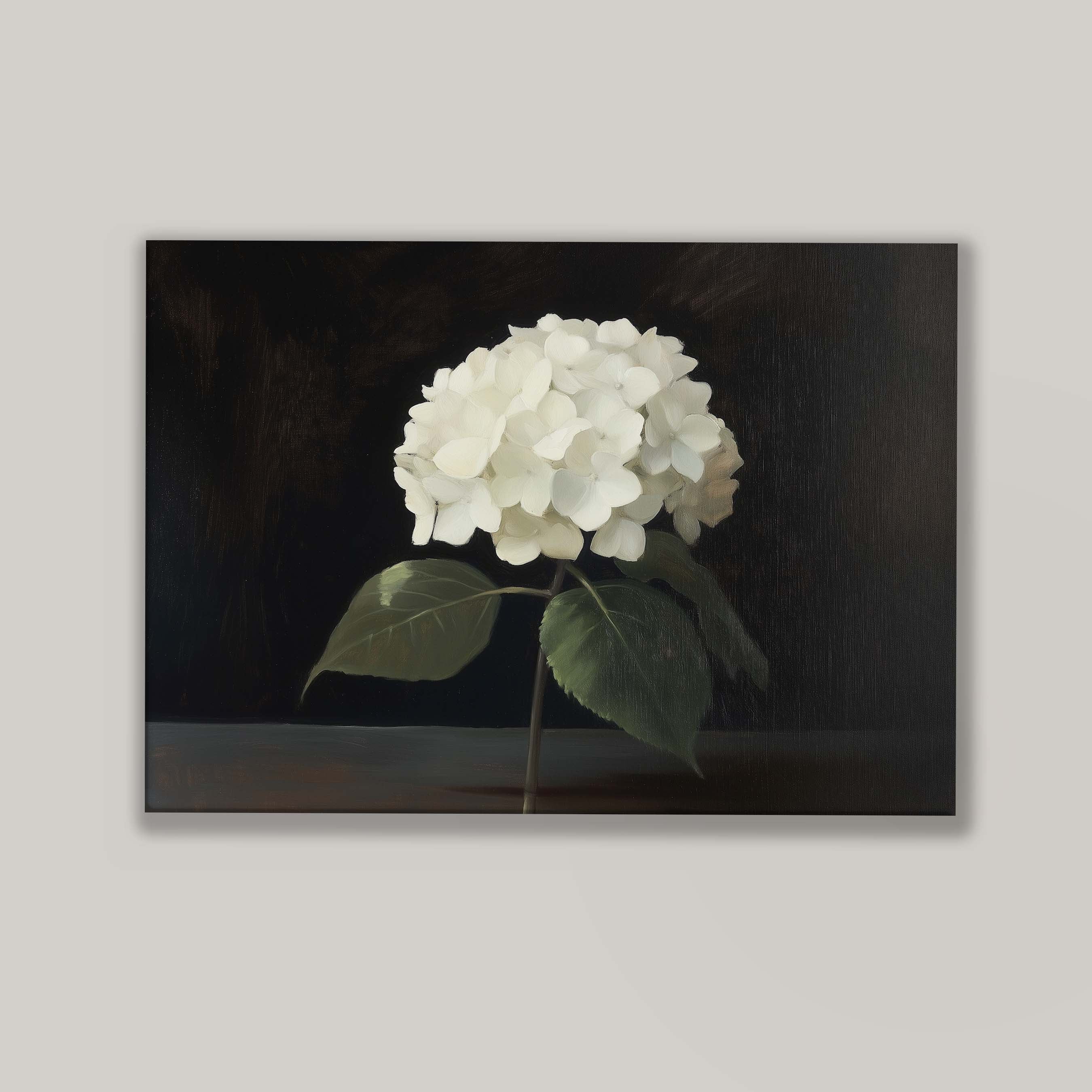 Hydrangea