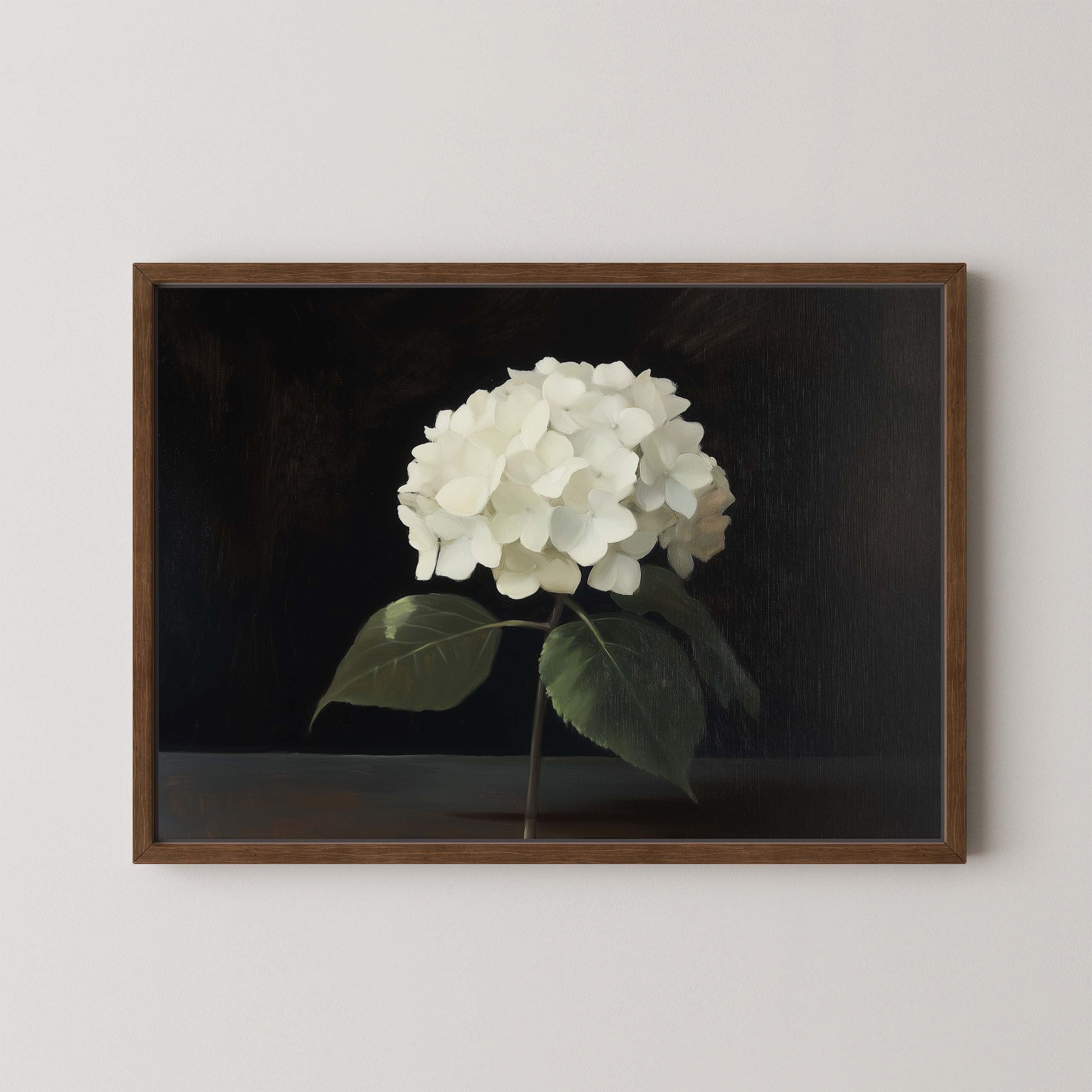 Hydrangea