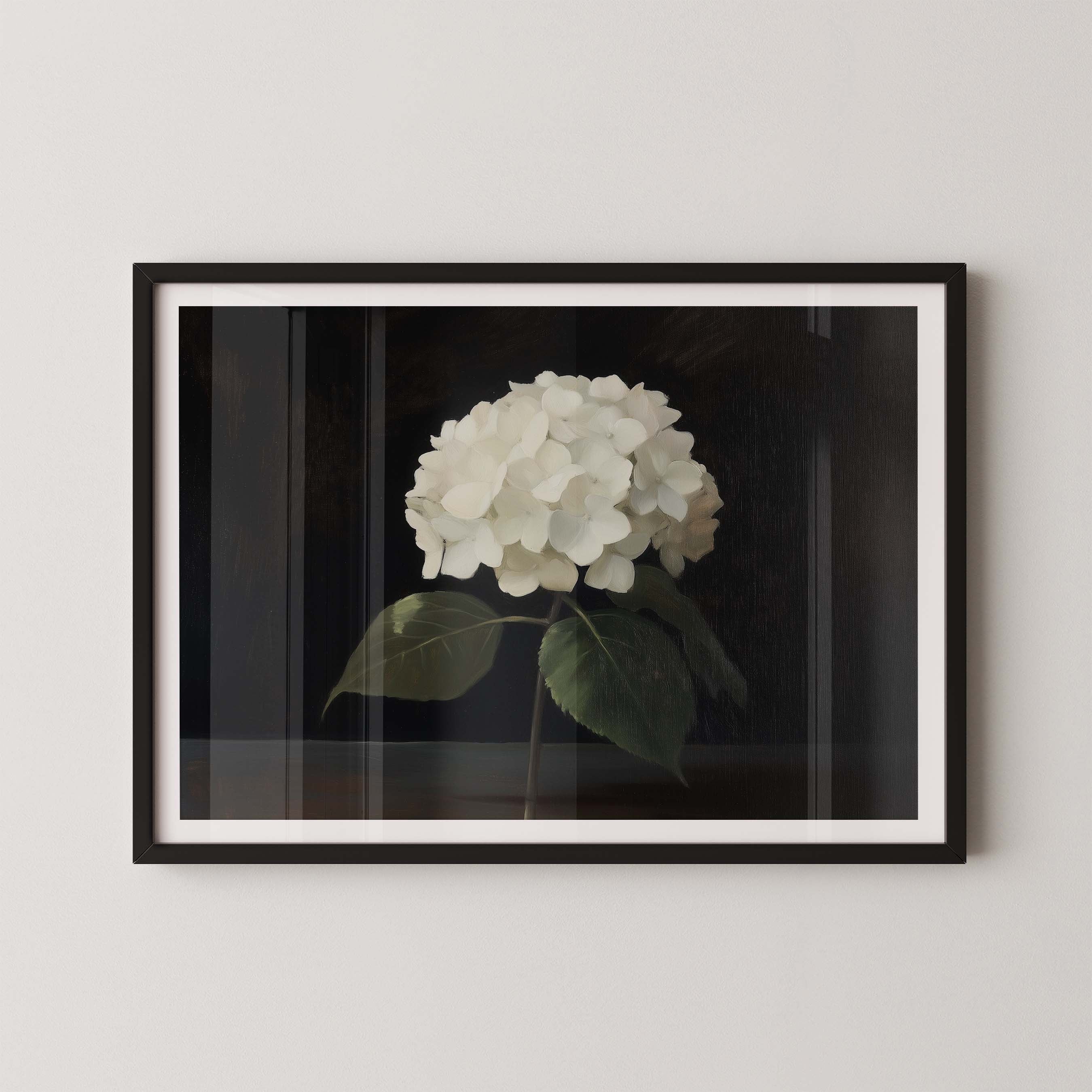 Hydrangea