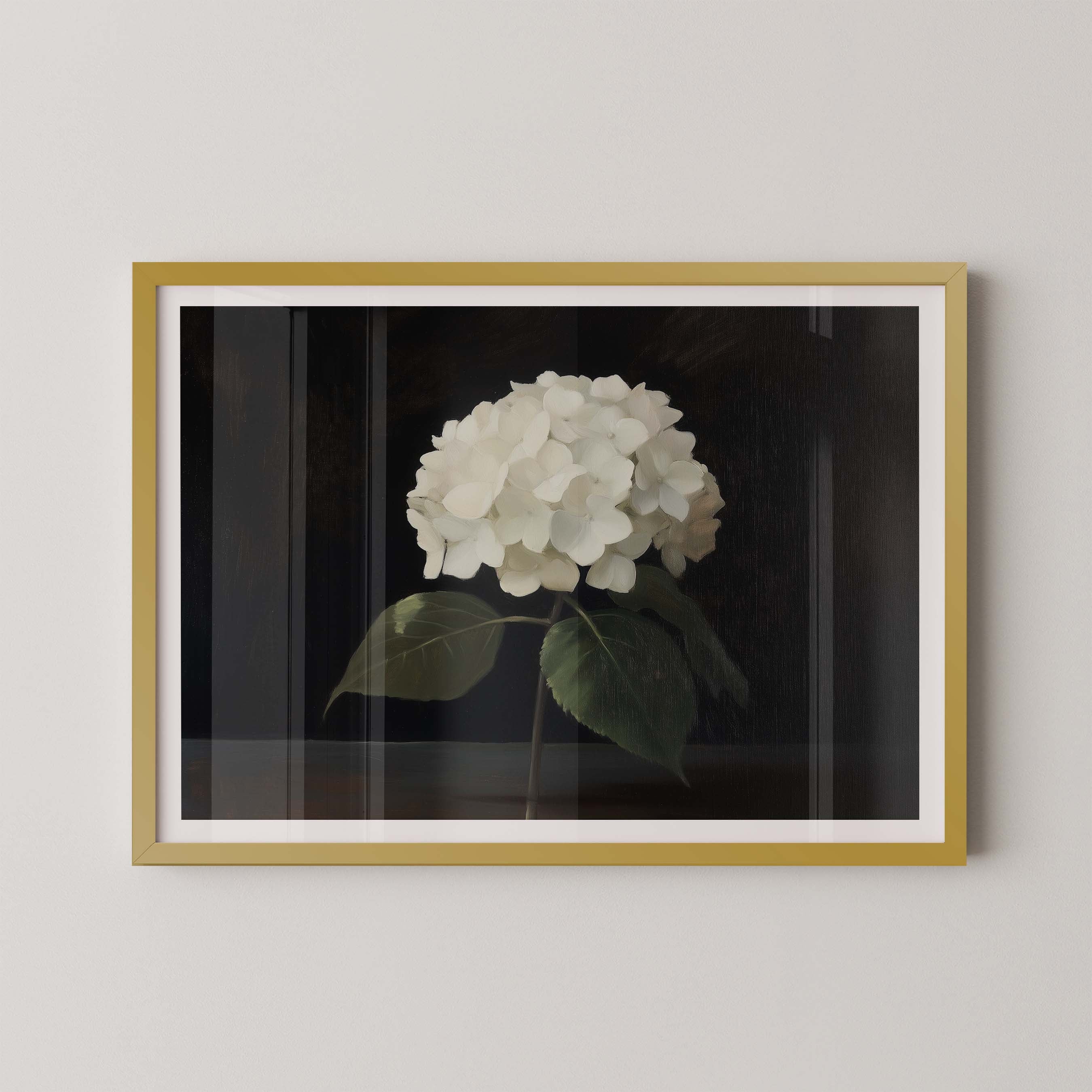 Hydrangea