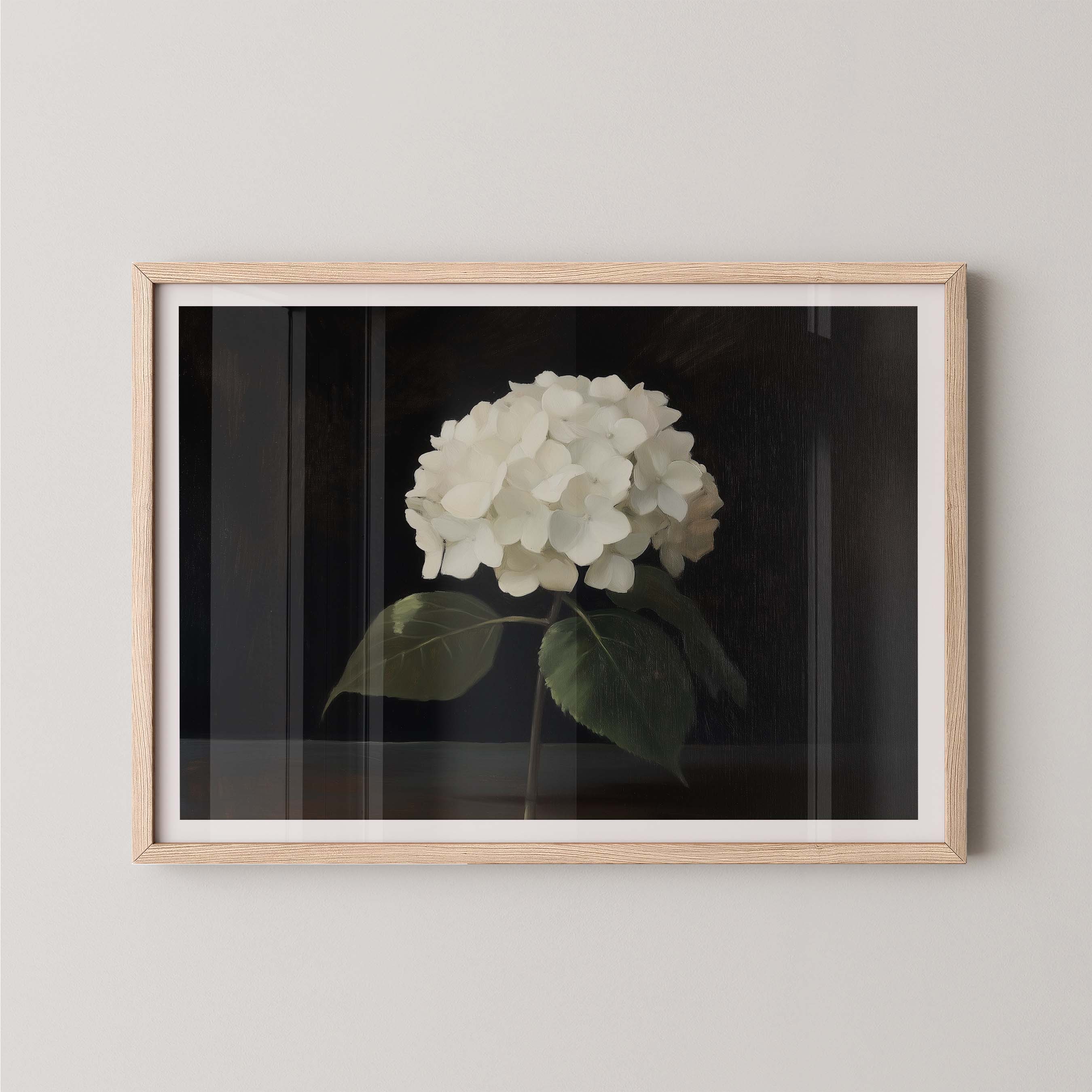 Hydrangea