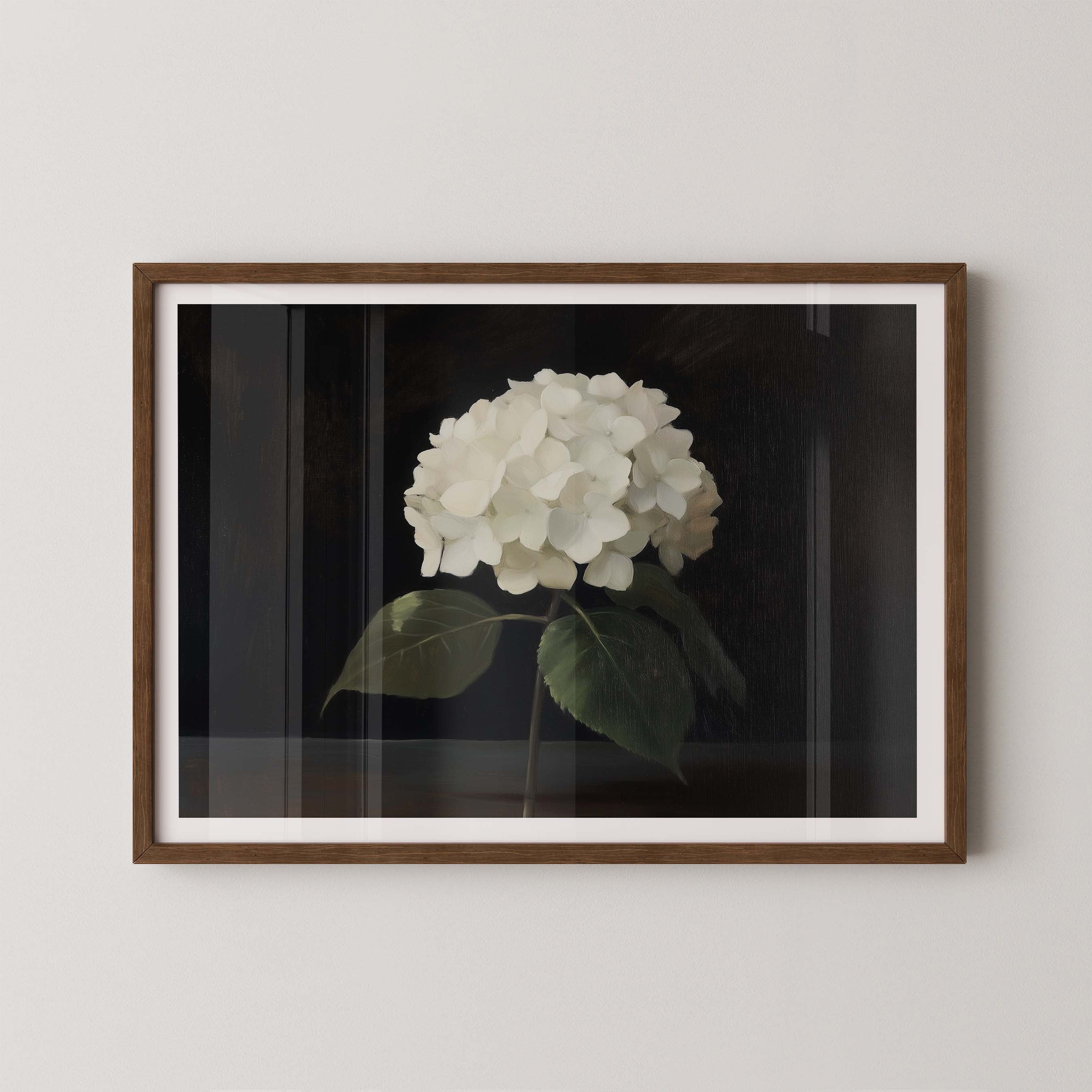 Hydrangea