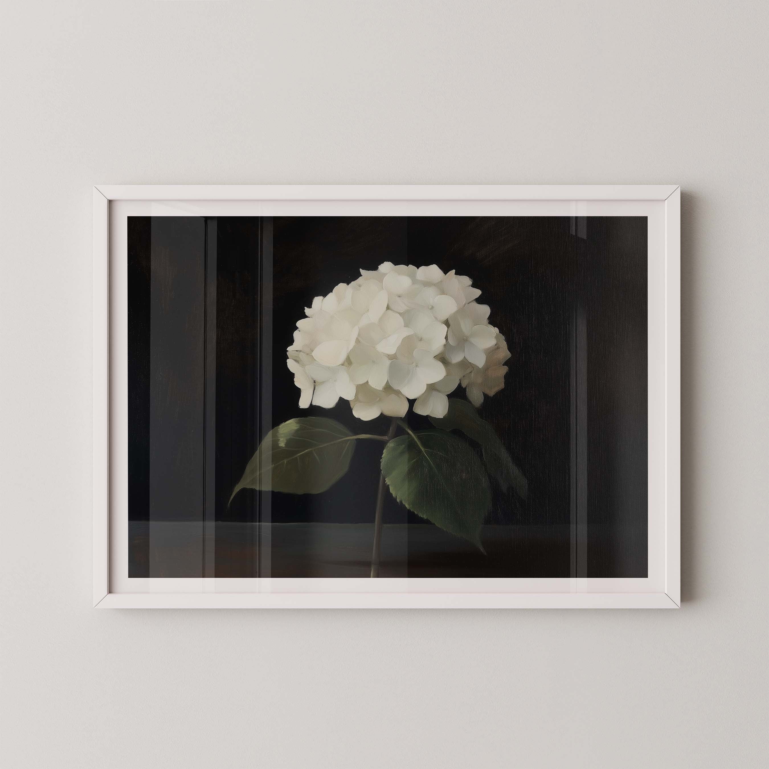 Hydrangea