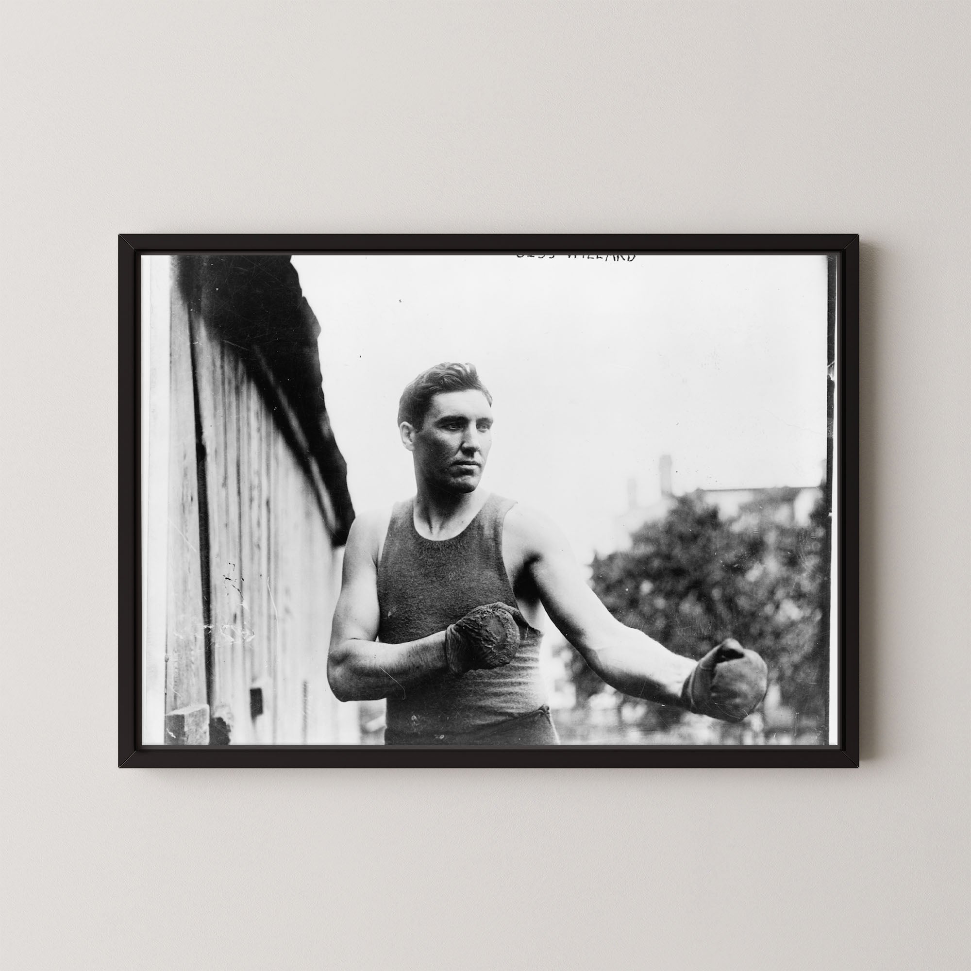 Jess Willard Boxer