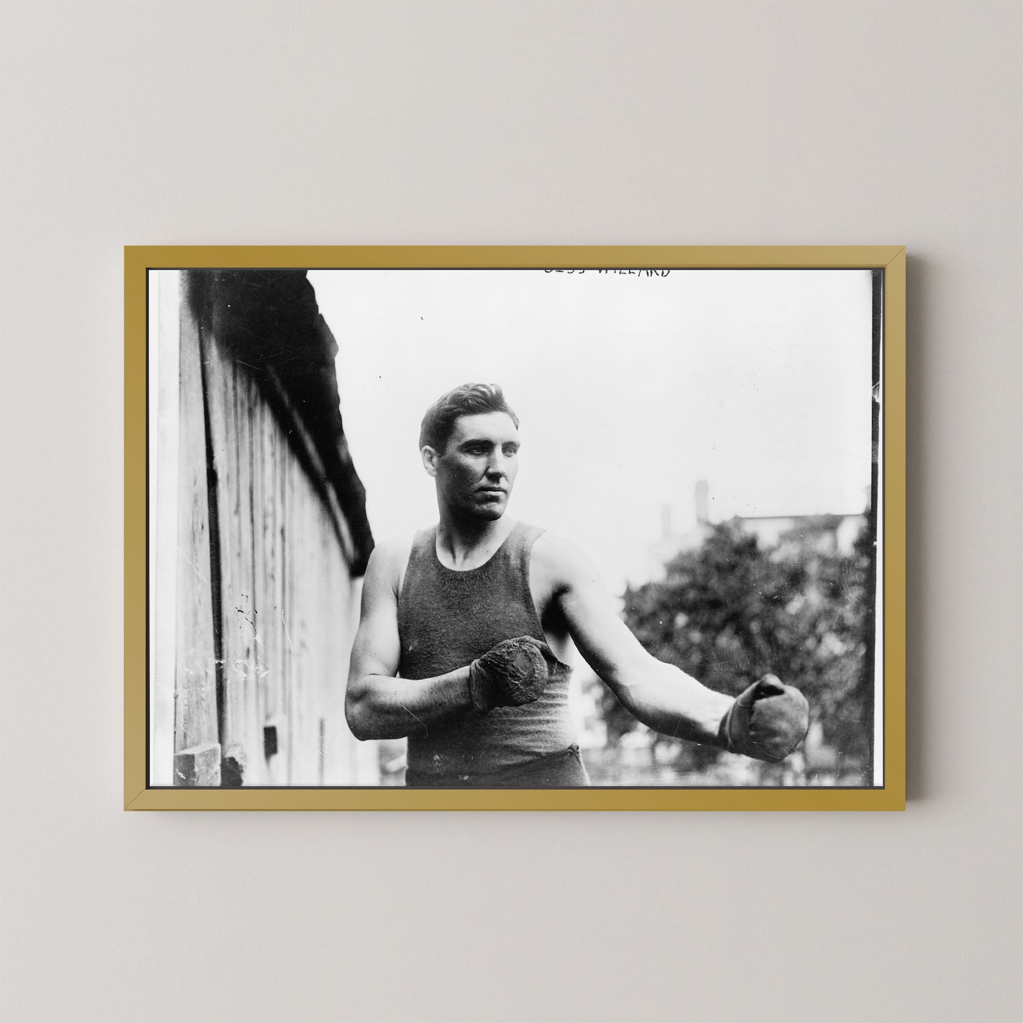 Jess Willard Boxer