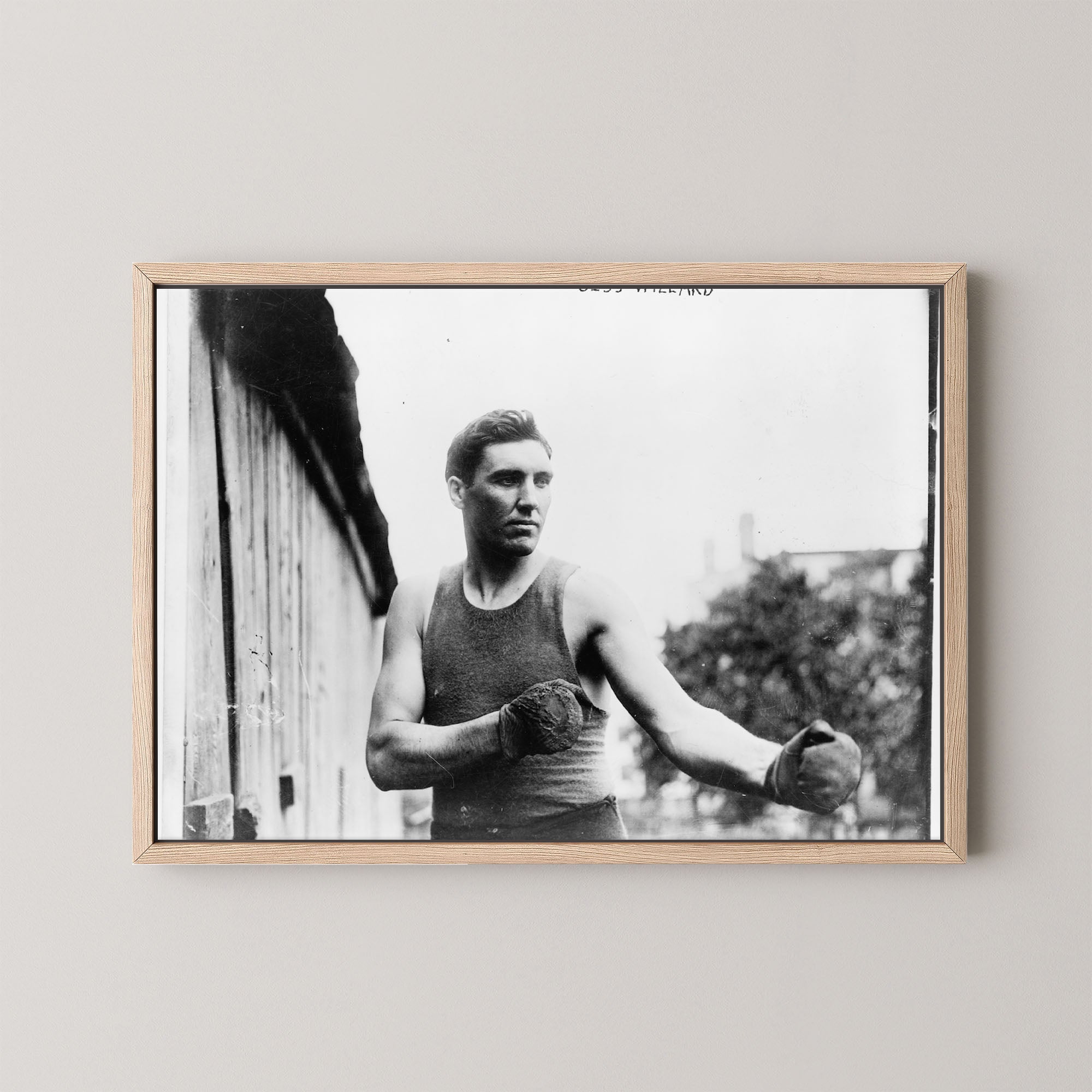 Jess Willard Boxer