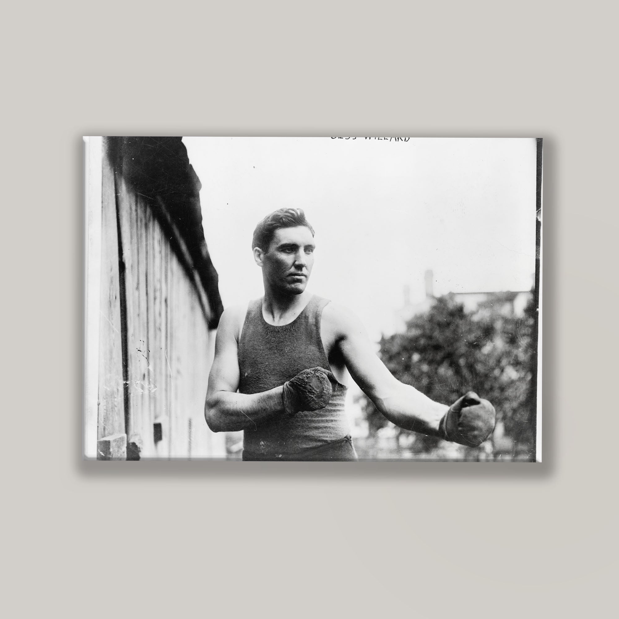 Jess Willard Boxer