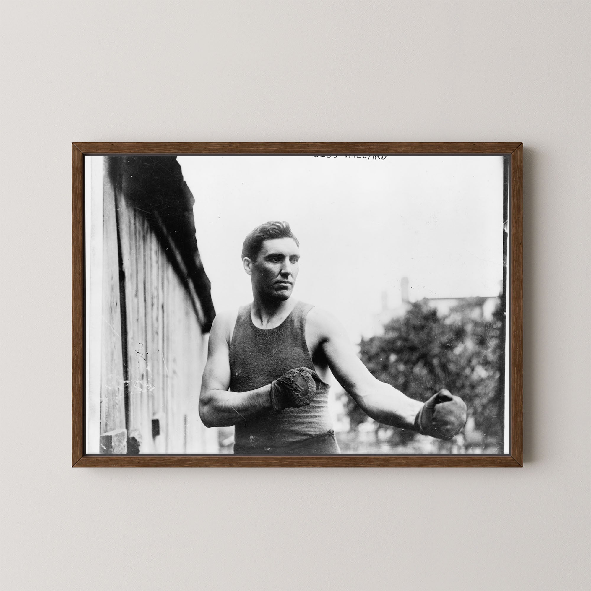 Jess Willard Boxer