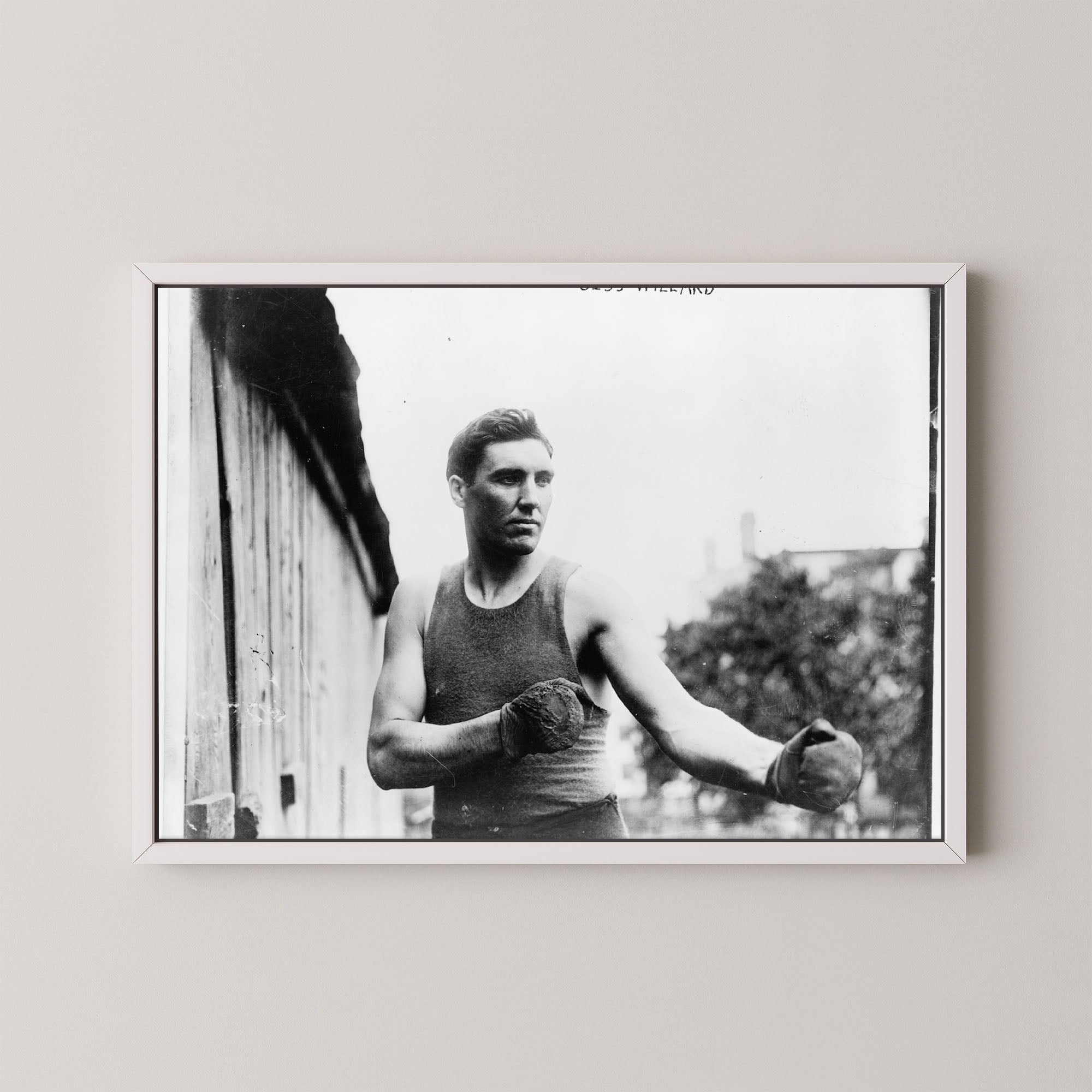 Jess Willard Boxer
