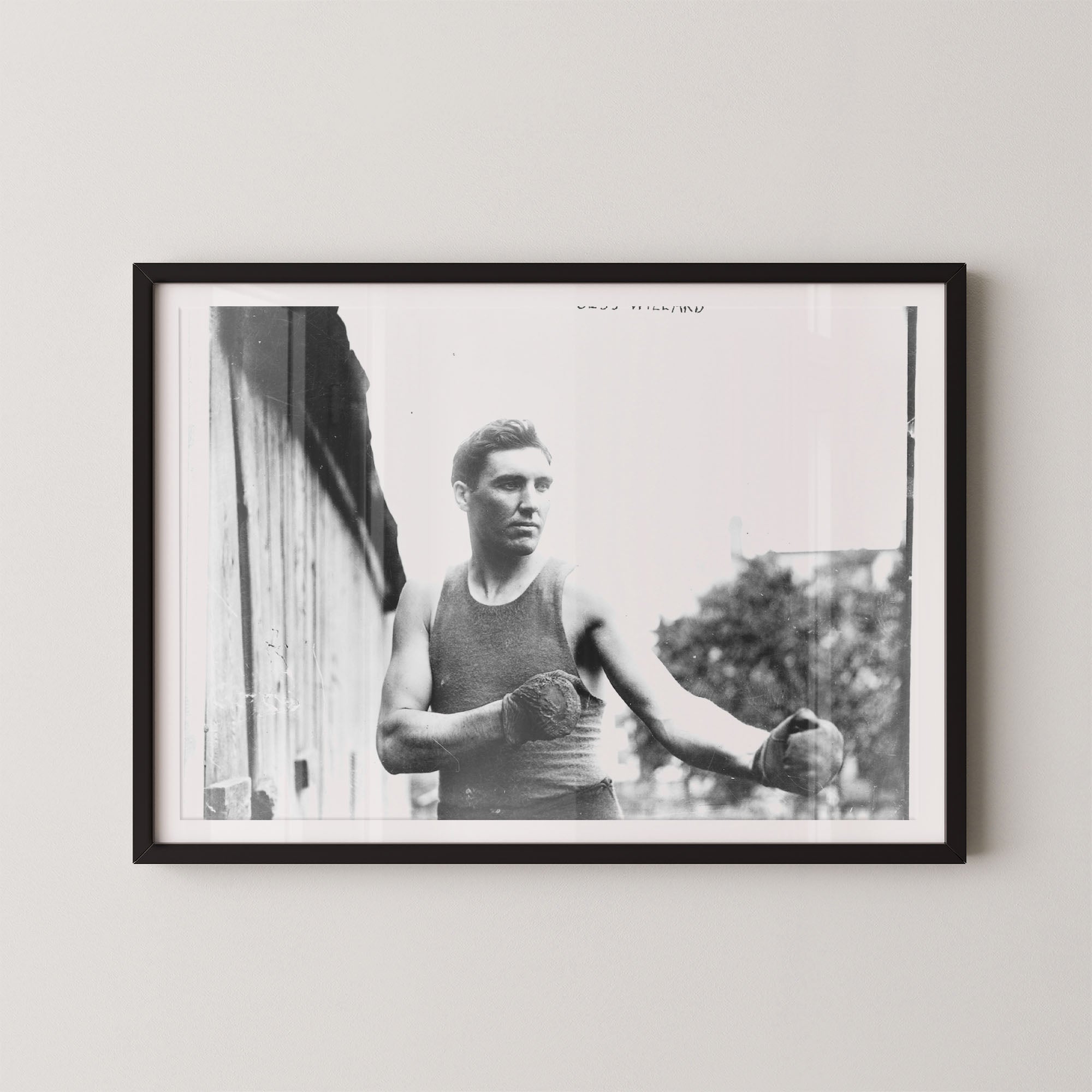 Jess Willard Boxer