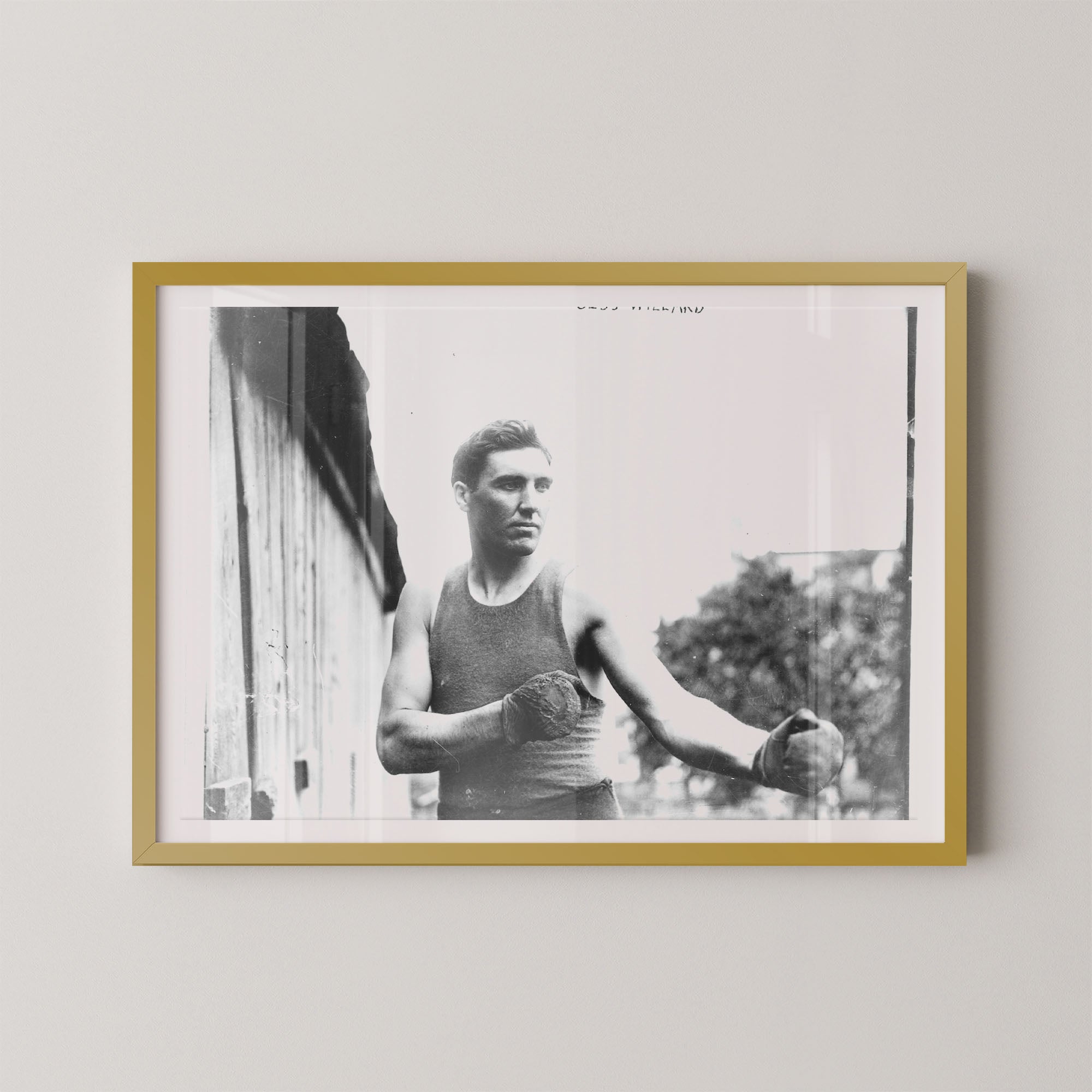 Jess Willard Boxer