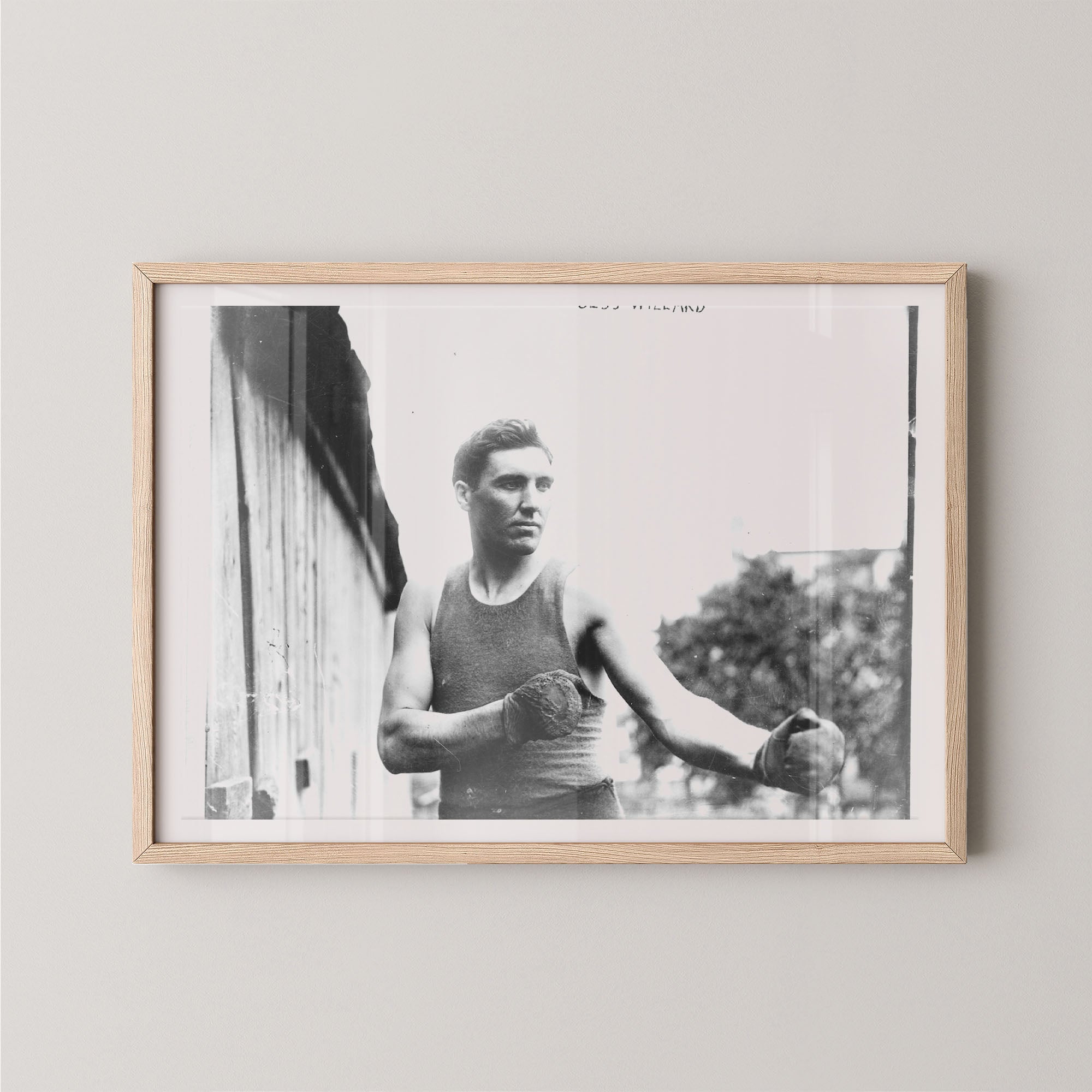 Jess Willard Boxer