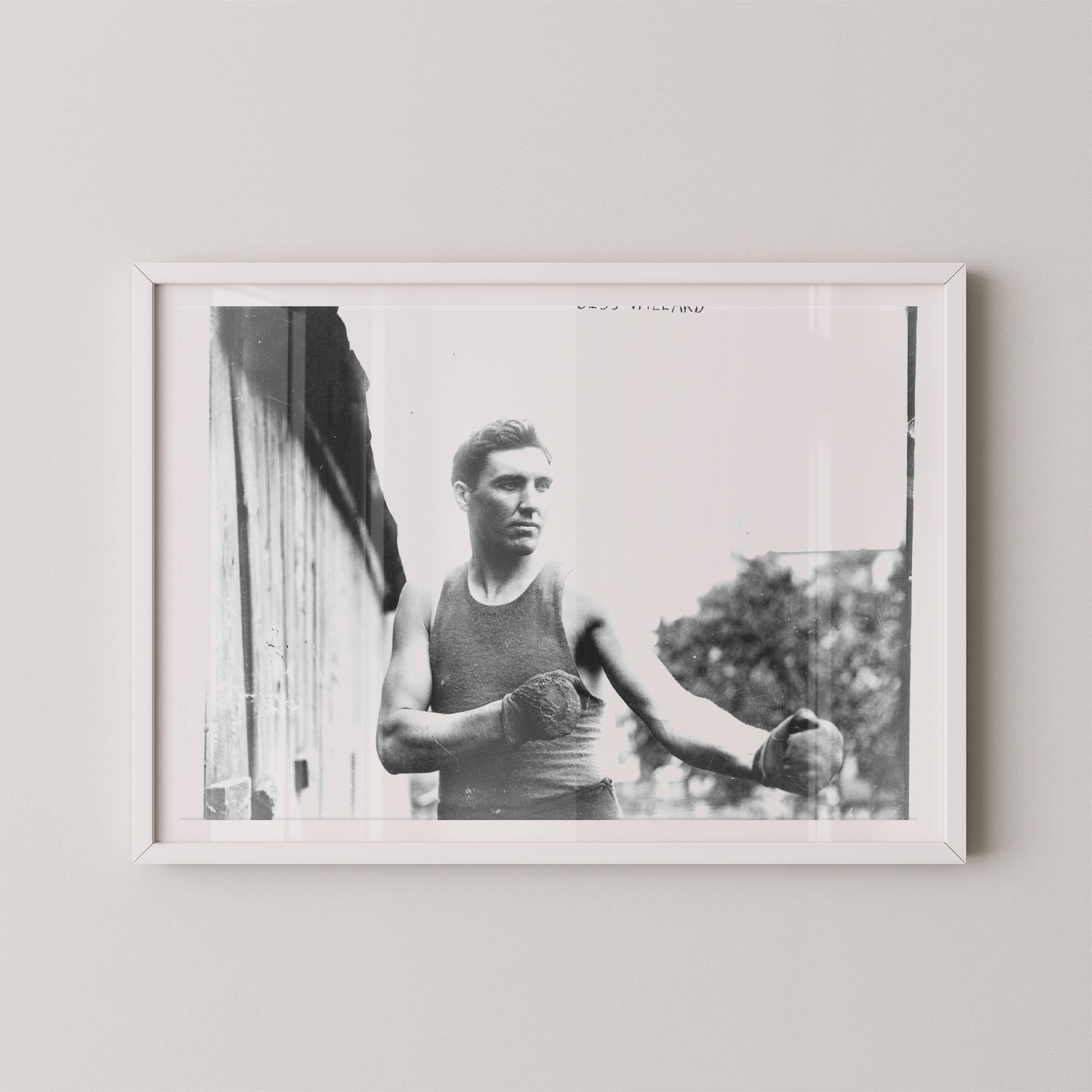 Jess Willard Boxer