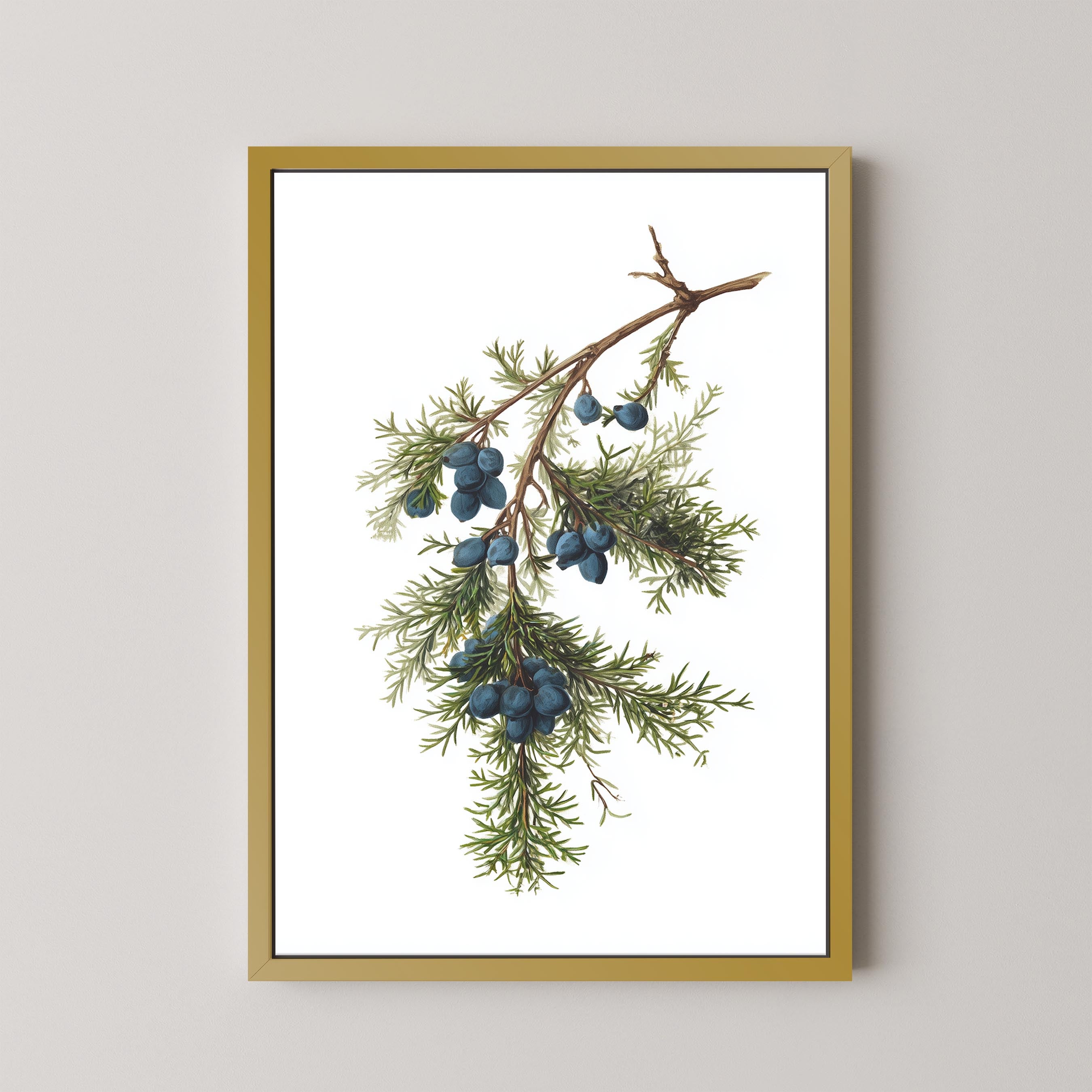 Juniper Branch