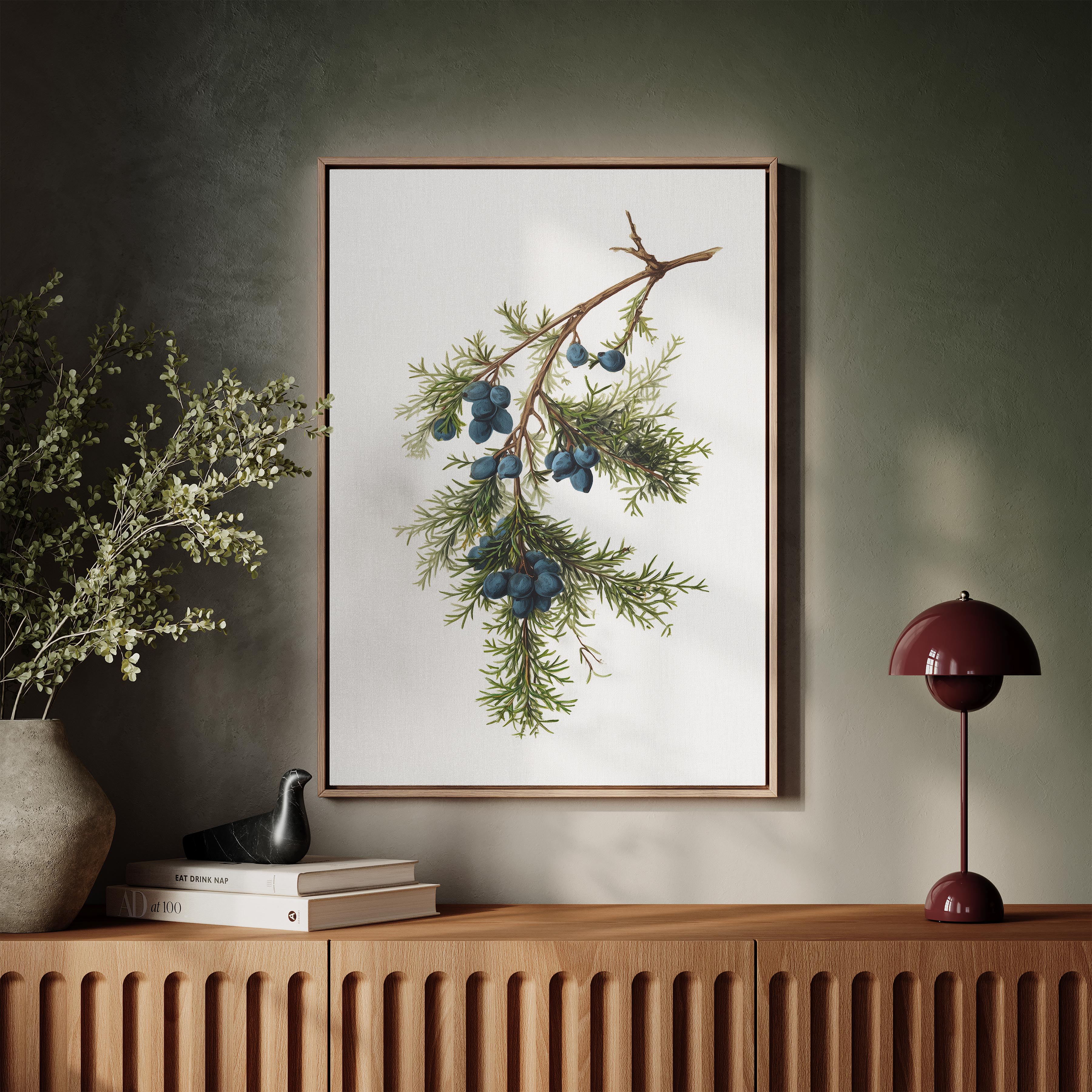 Juniper Branch
