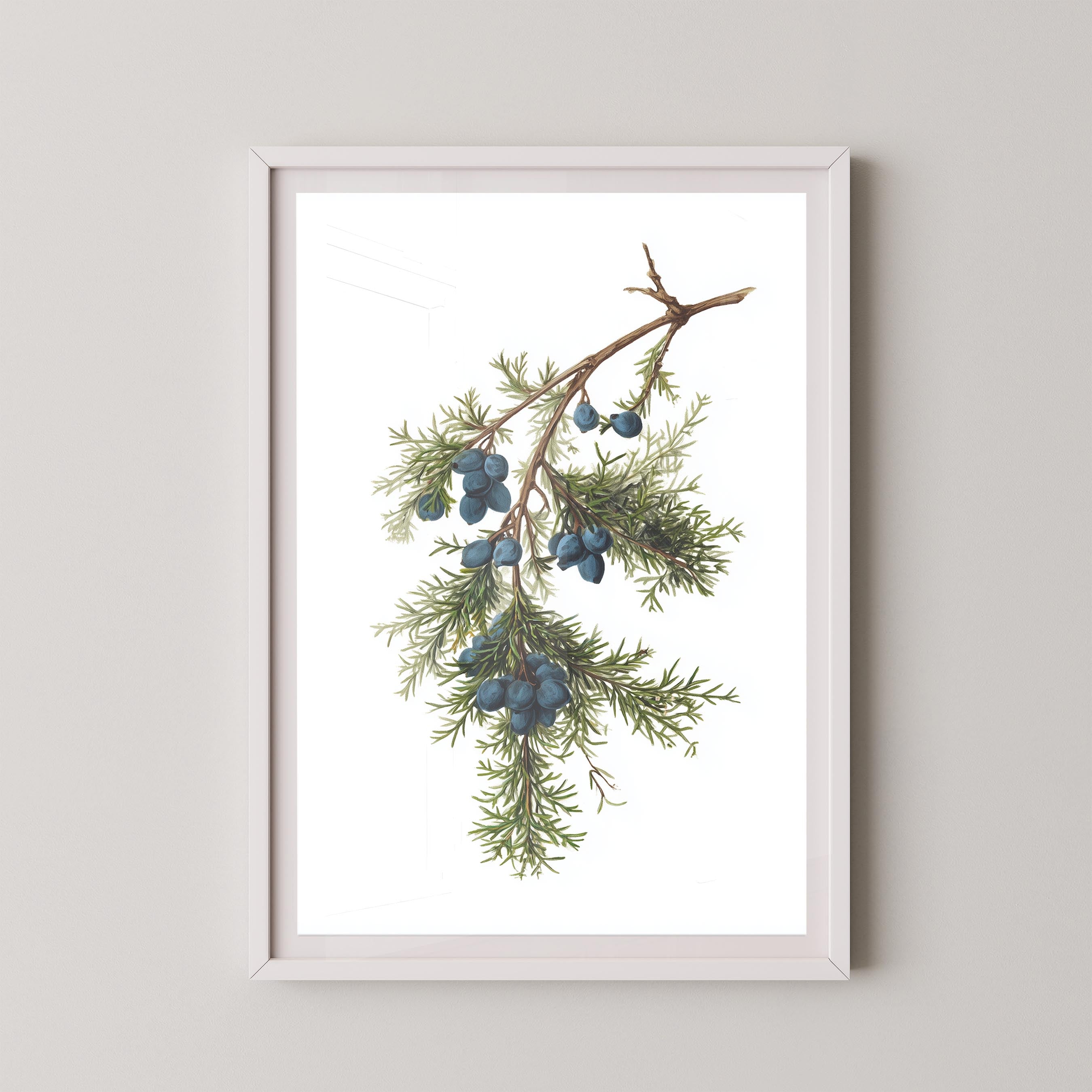 Juniper Branch