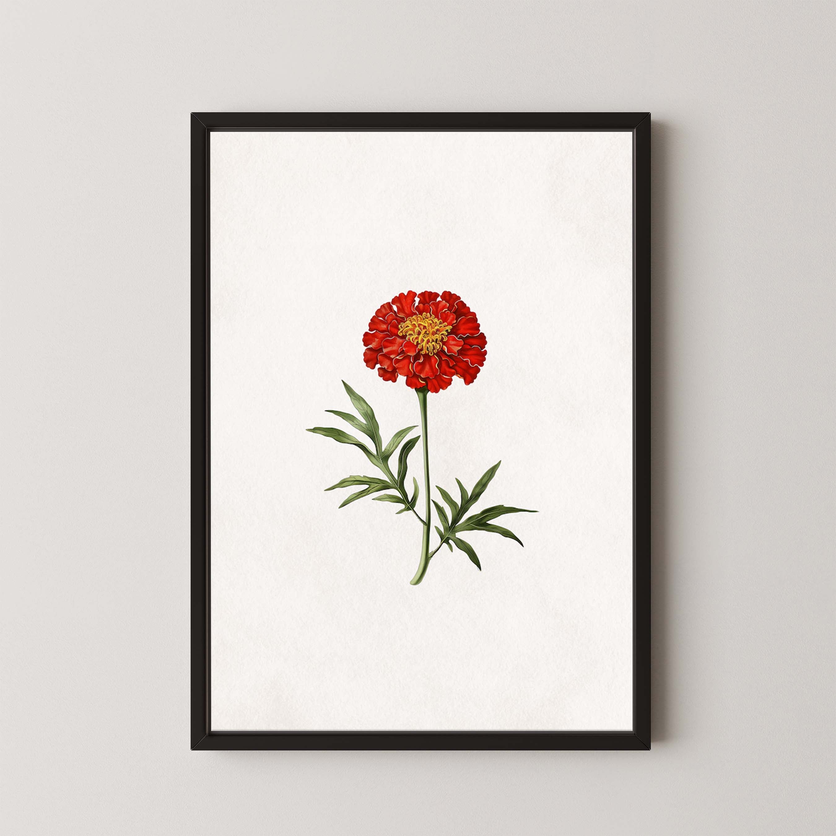 Lone Marigold
