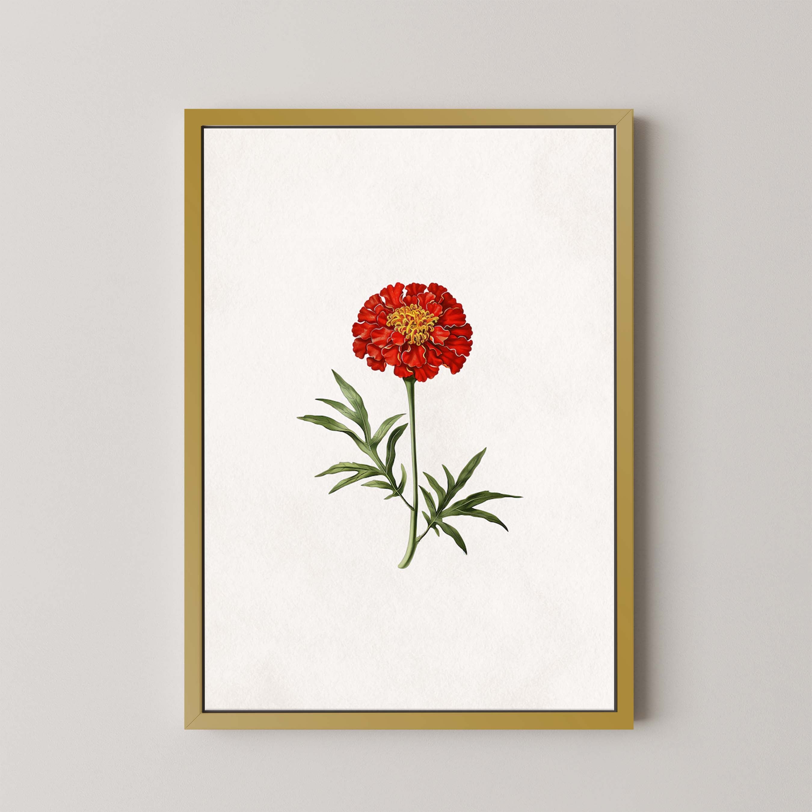 Lone Marigold