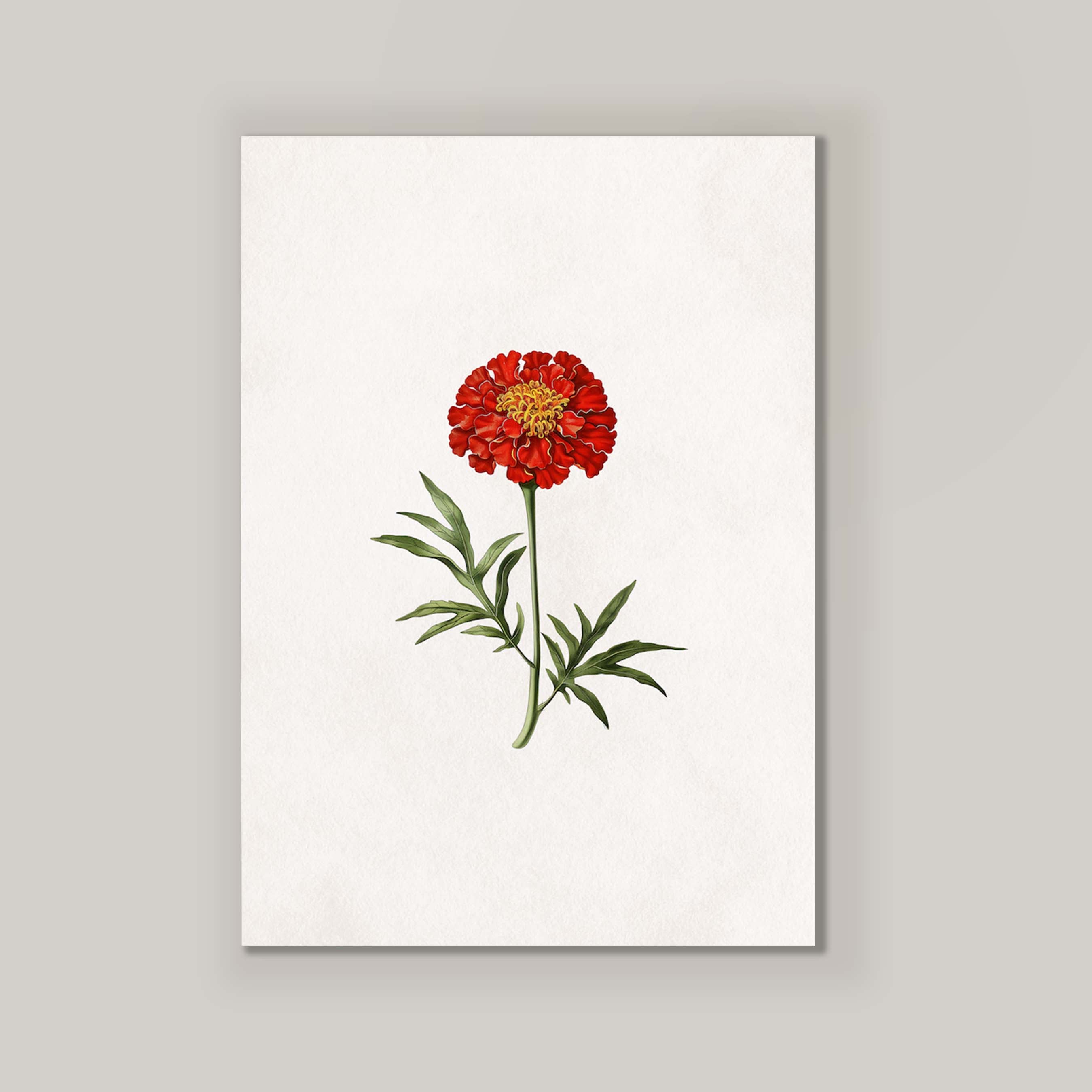 Lone Marigold