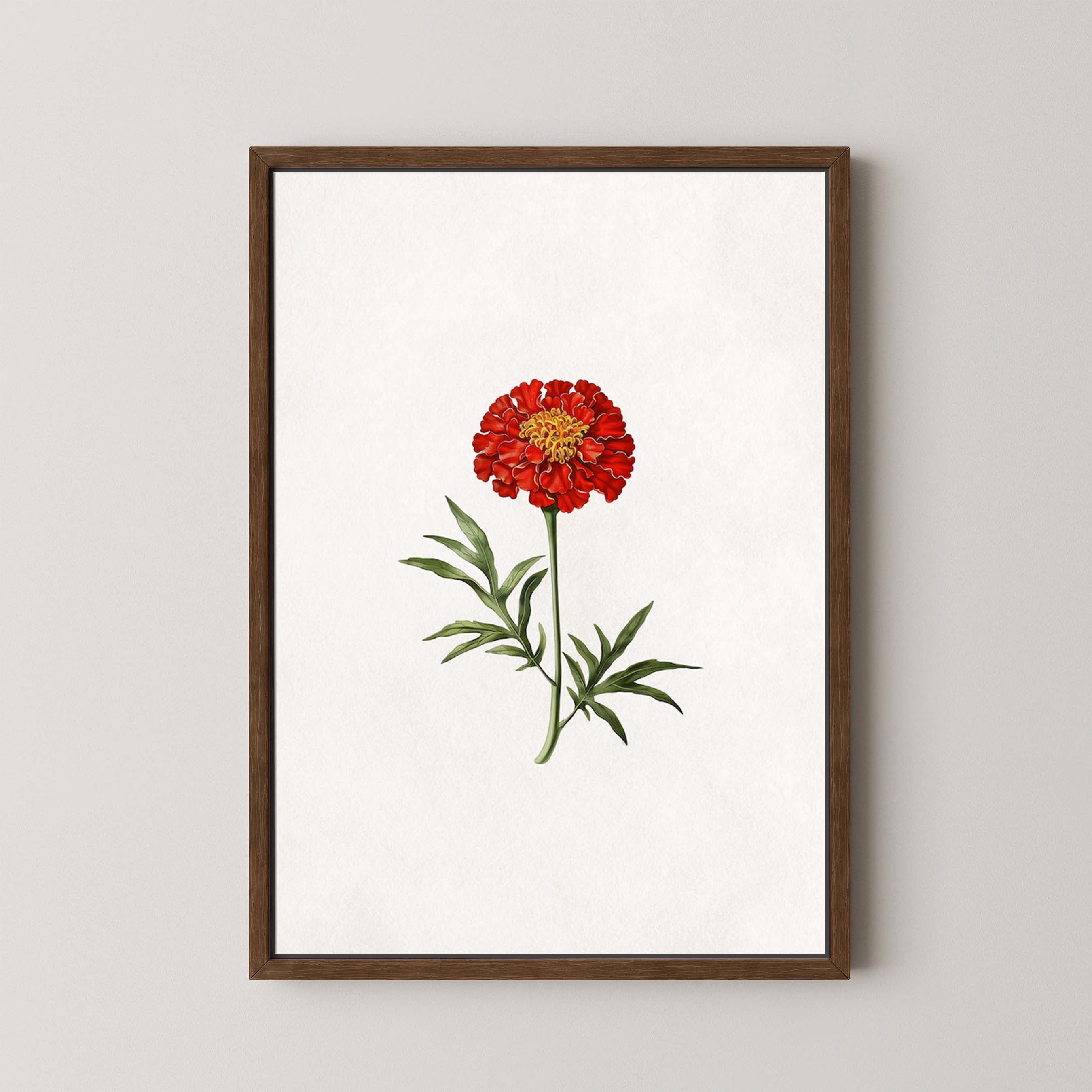 Lone Marigold