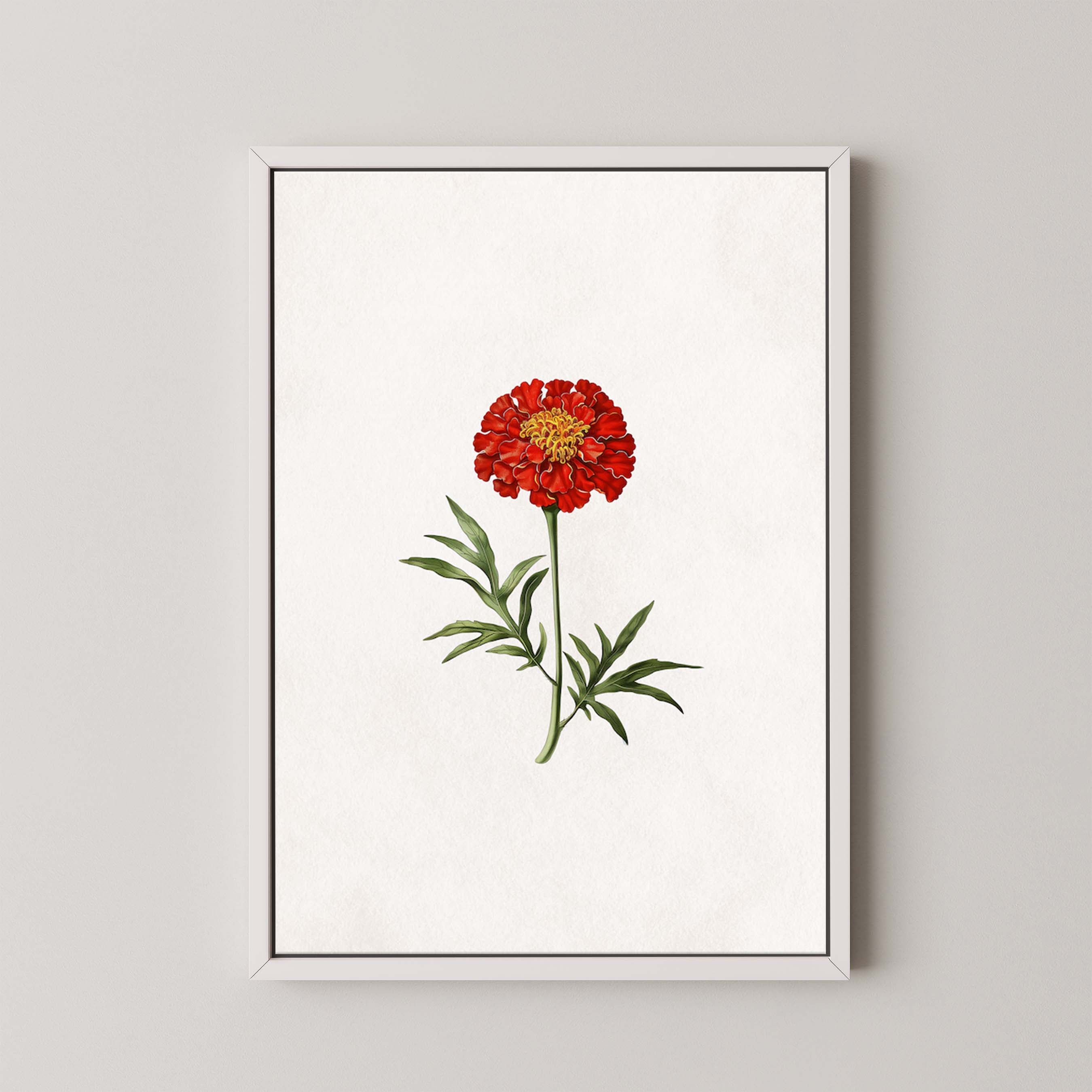 Lone Marigold