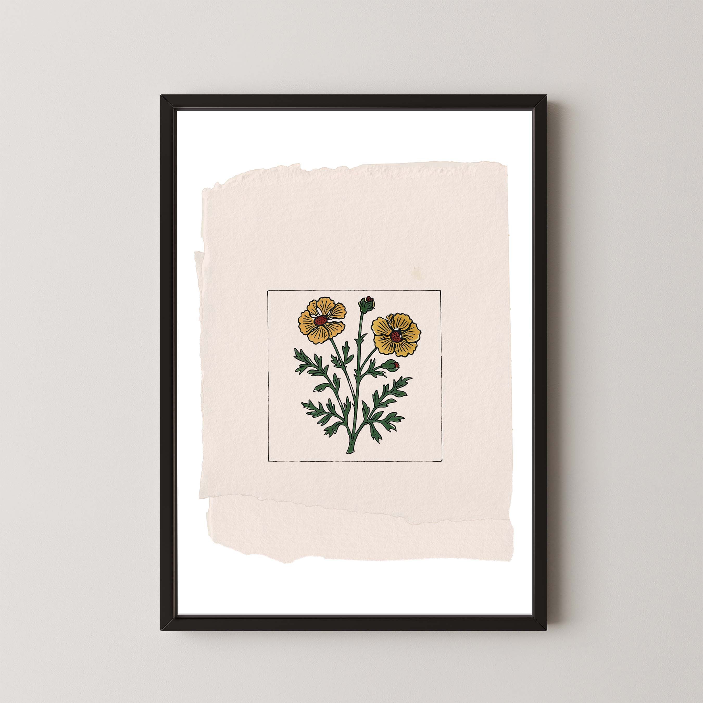 Marigold On Paper