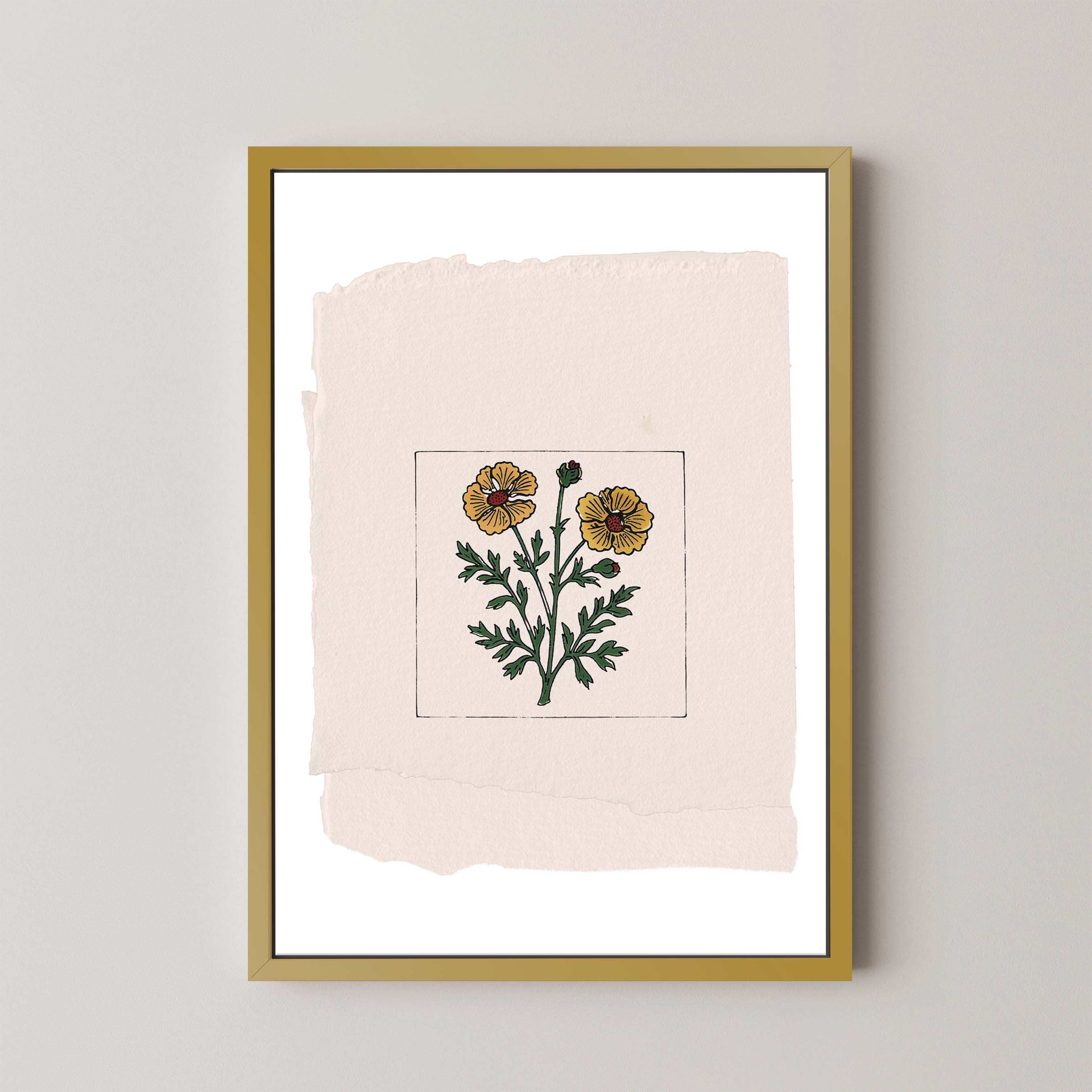 Marigold On Paper