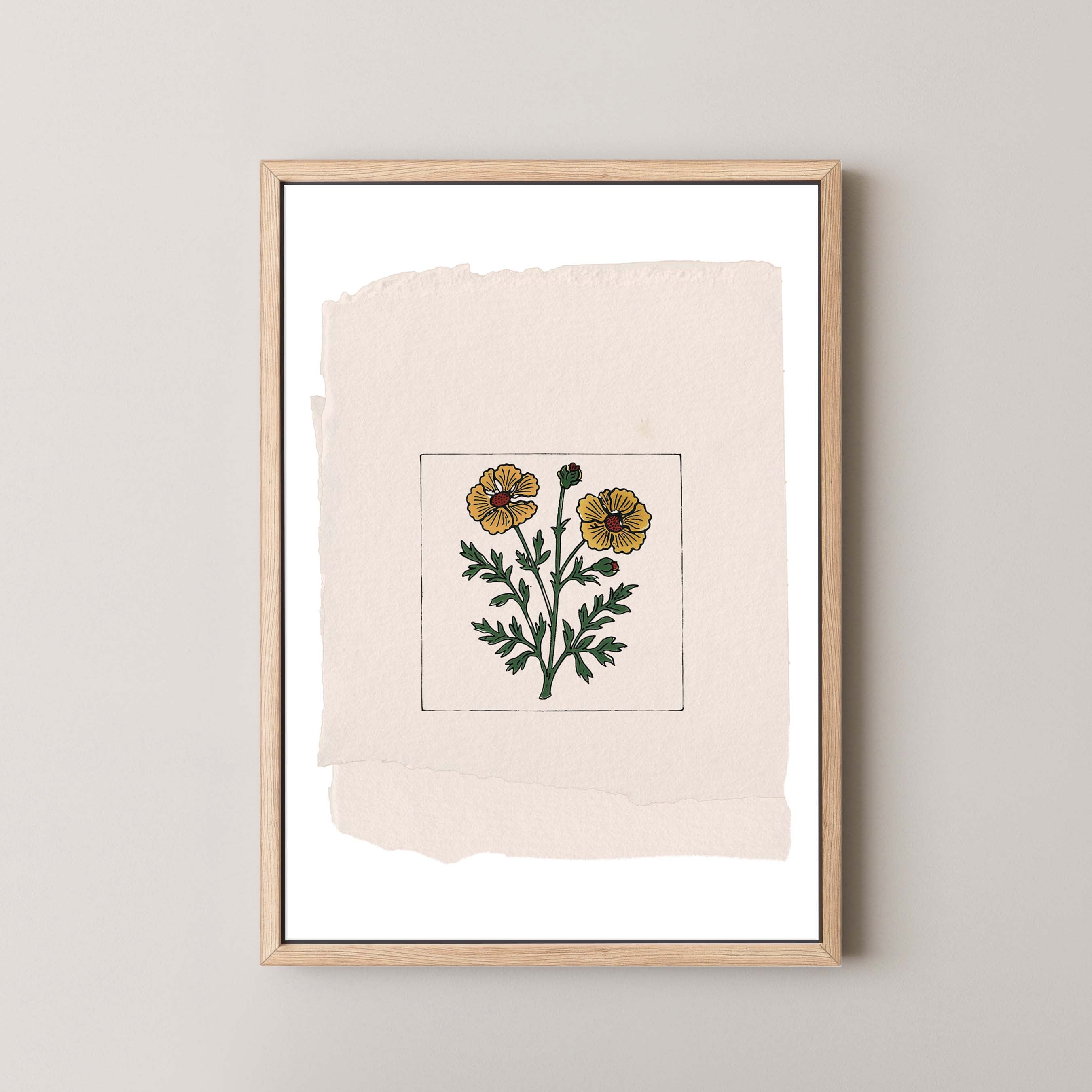Marigold On Paper