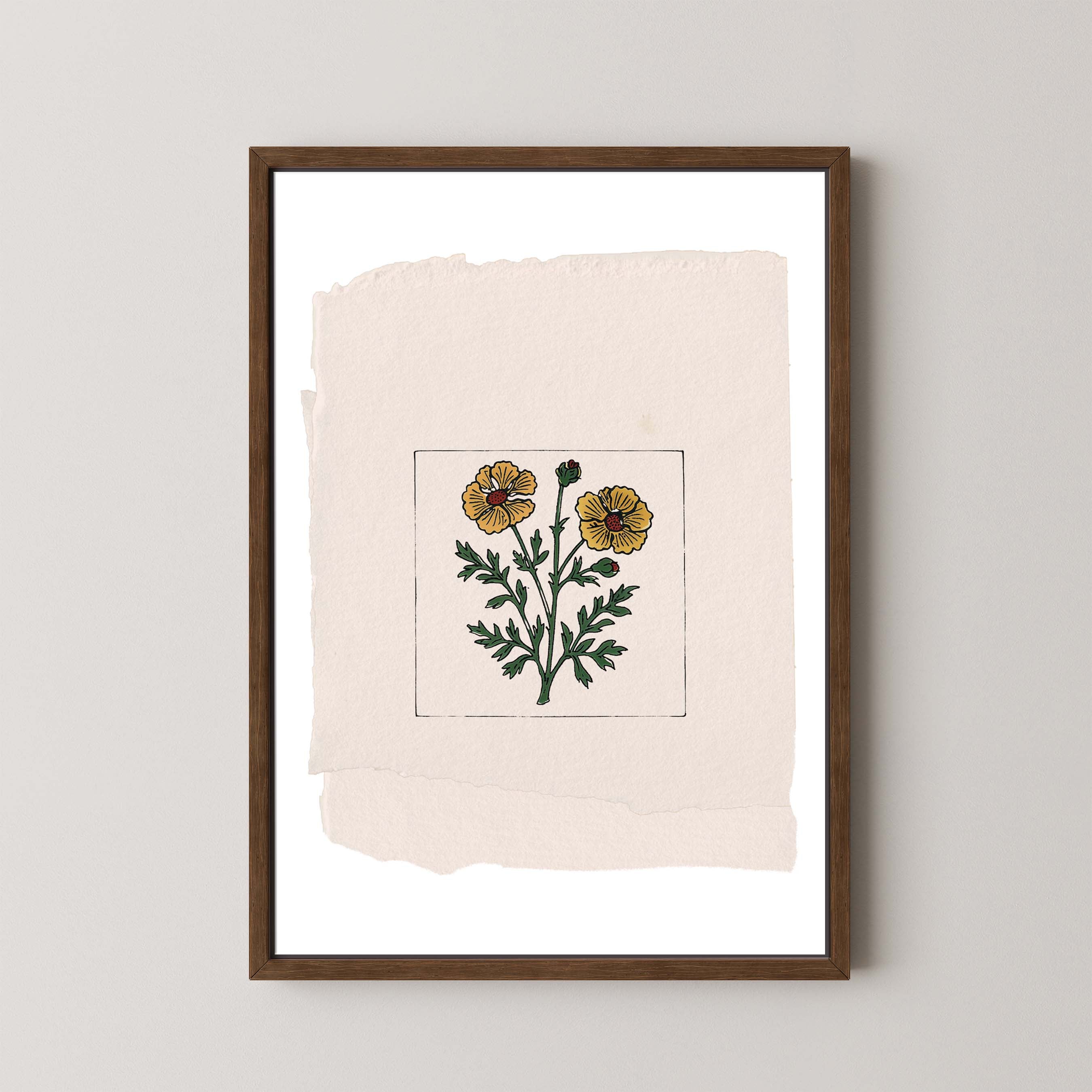 Marigold On Paper