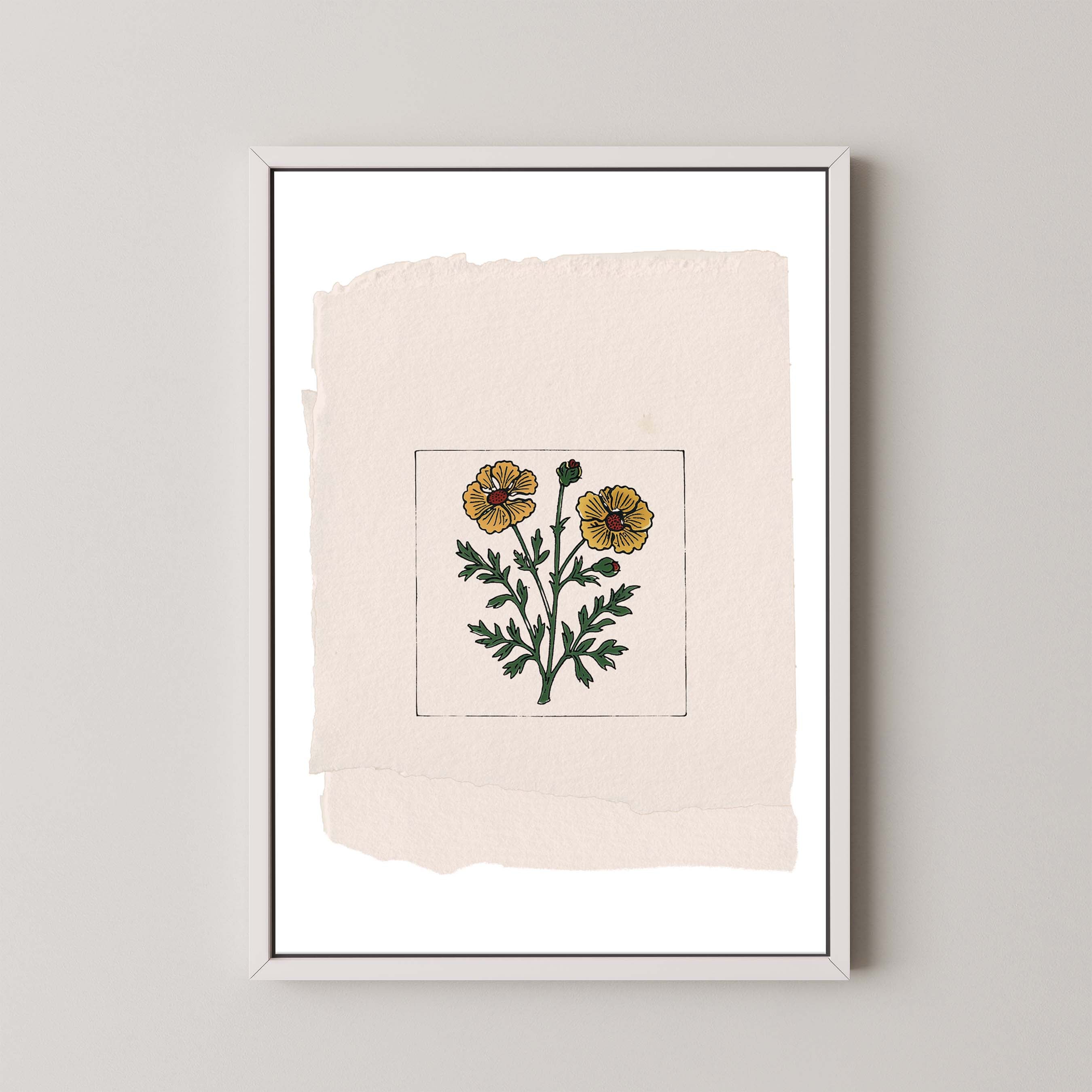 Marigold On Paper